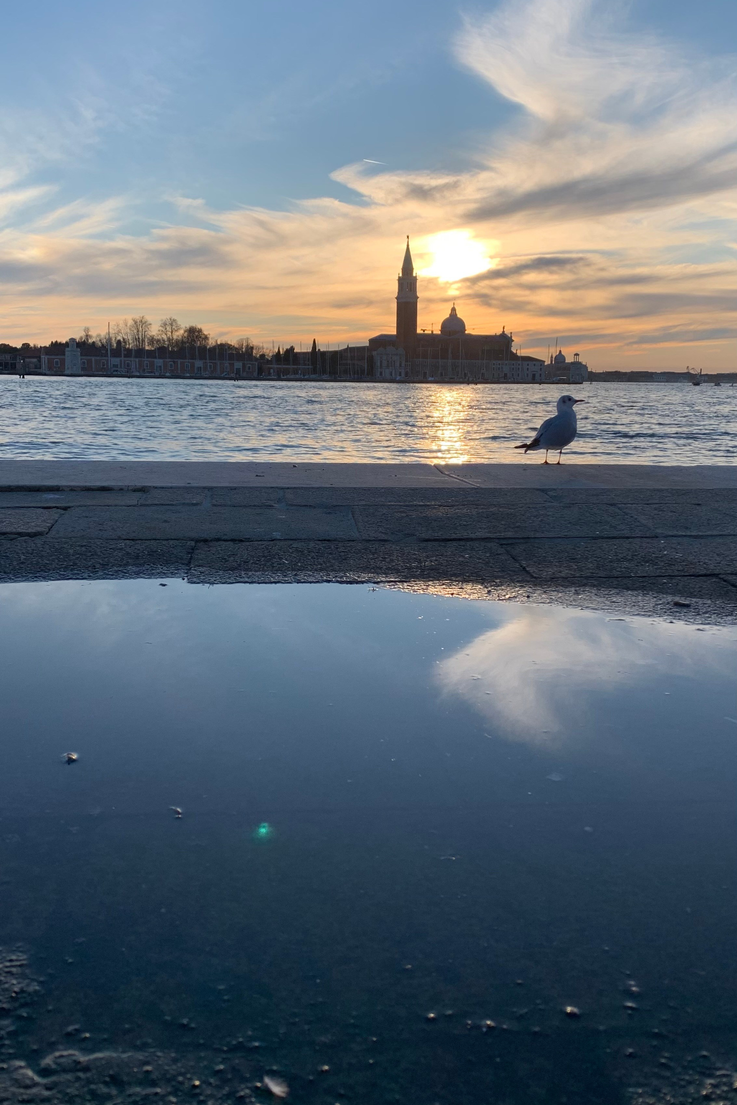 The Eyes of Venice. Nadia Kuprina. Artist