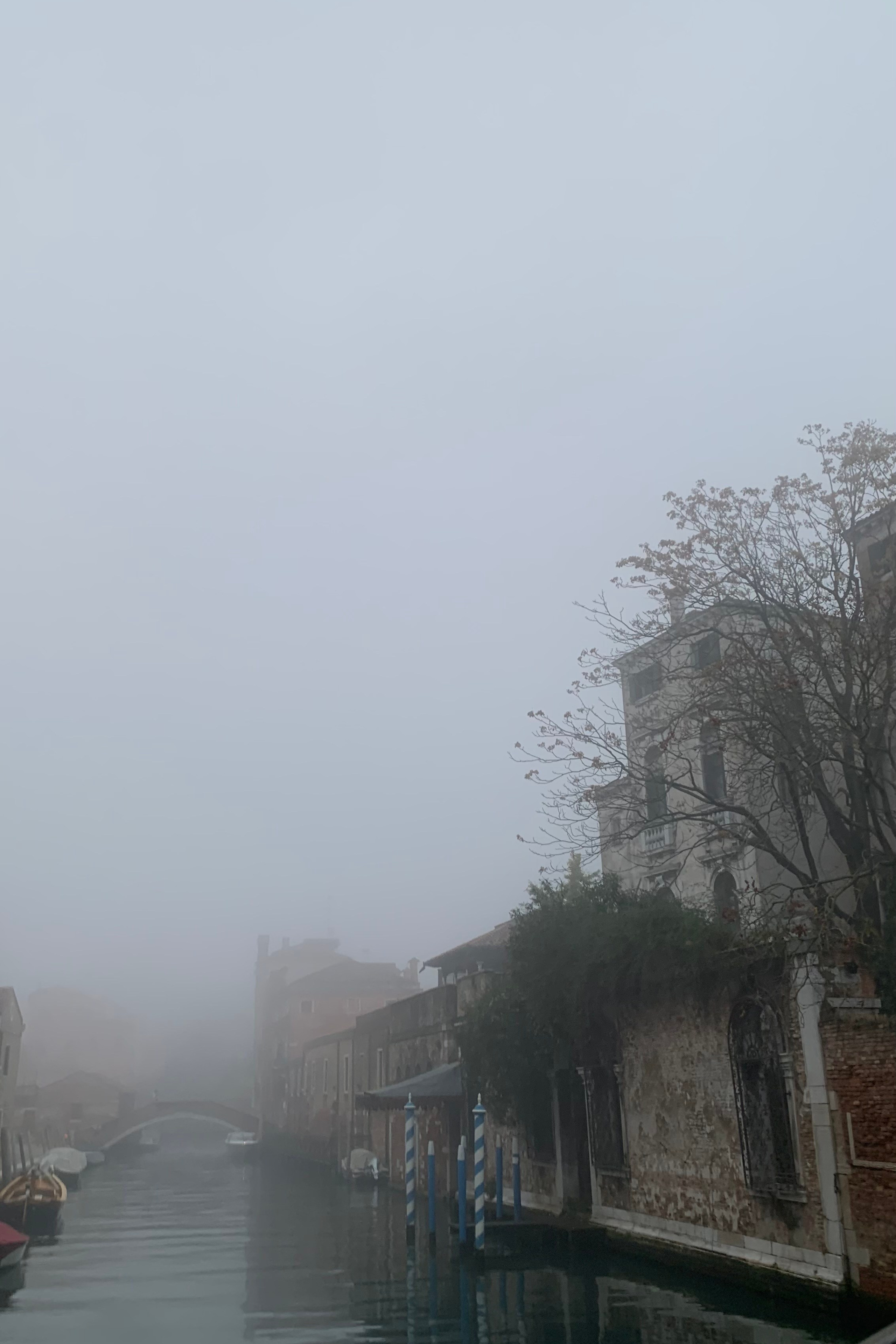 Blog. Nadia Kuprina. Artist