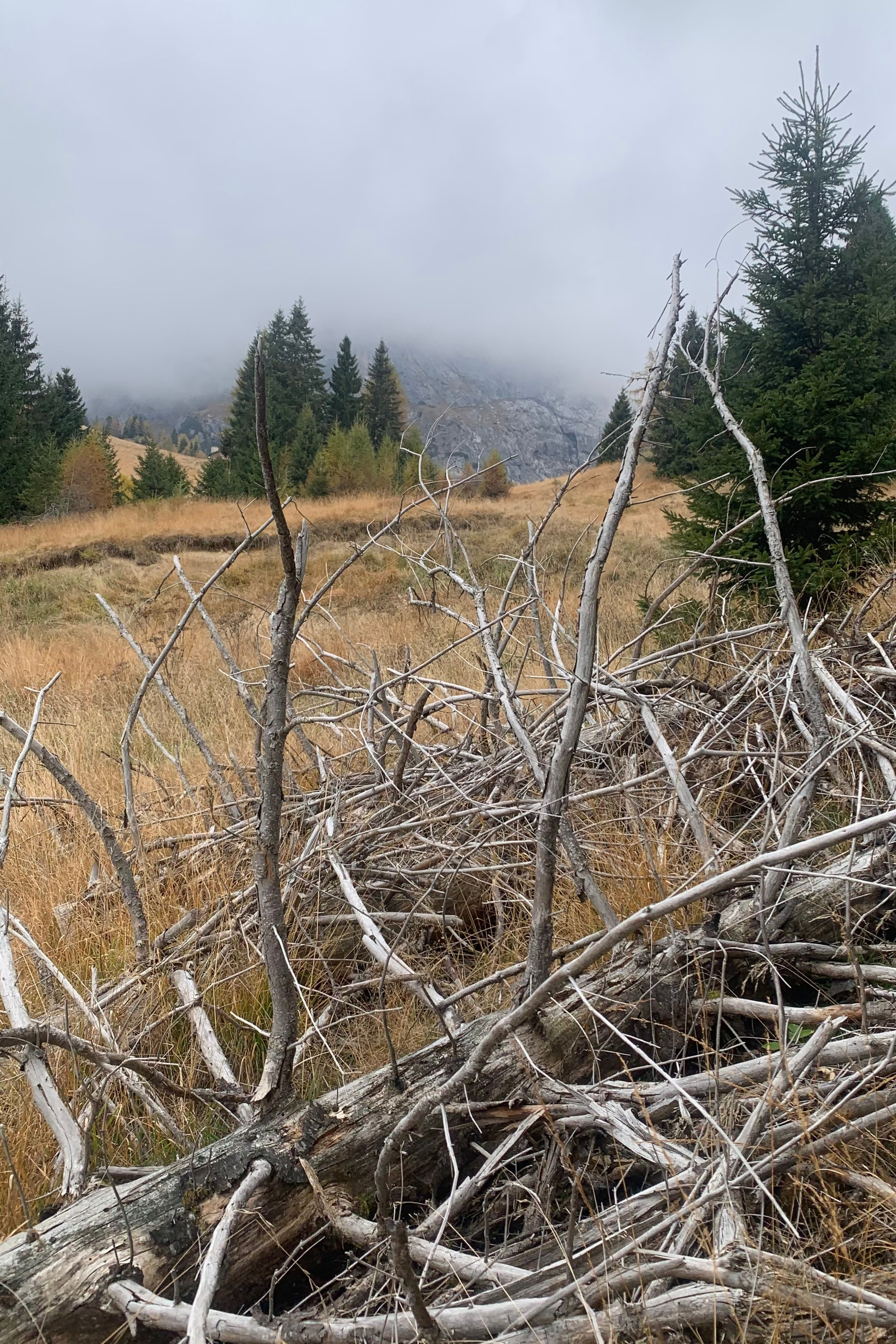 Blog. Nadia Kuprina. Artist