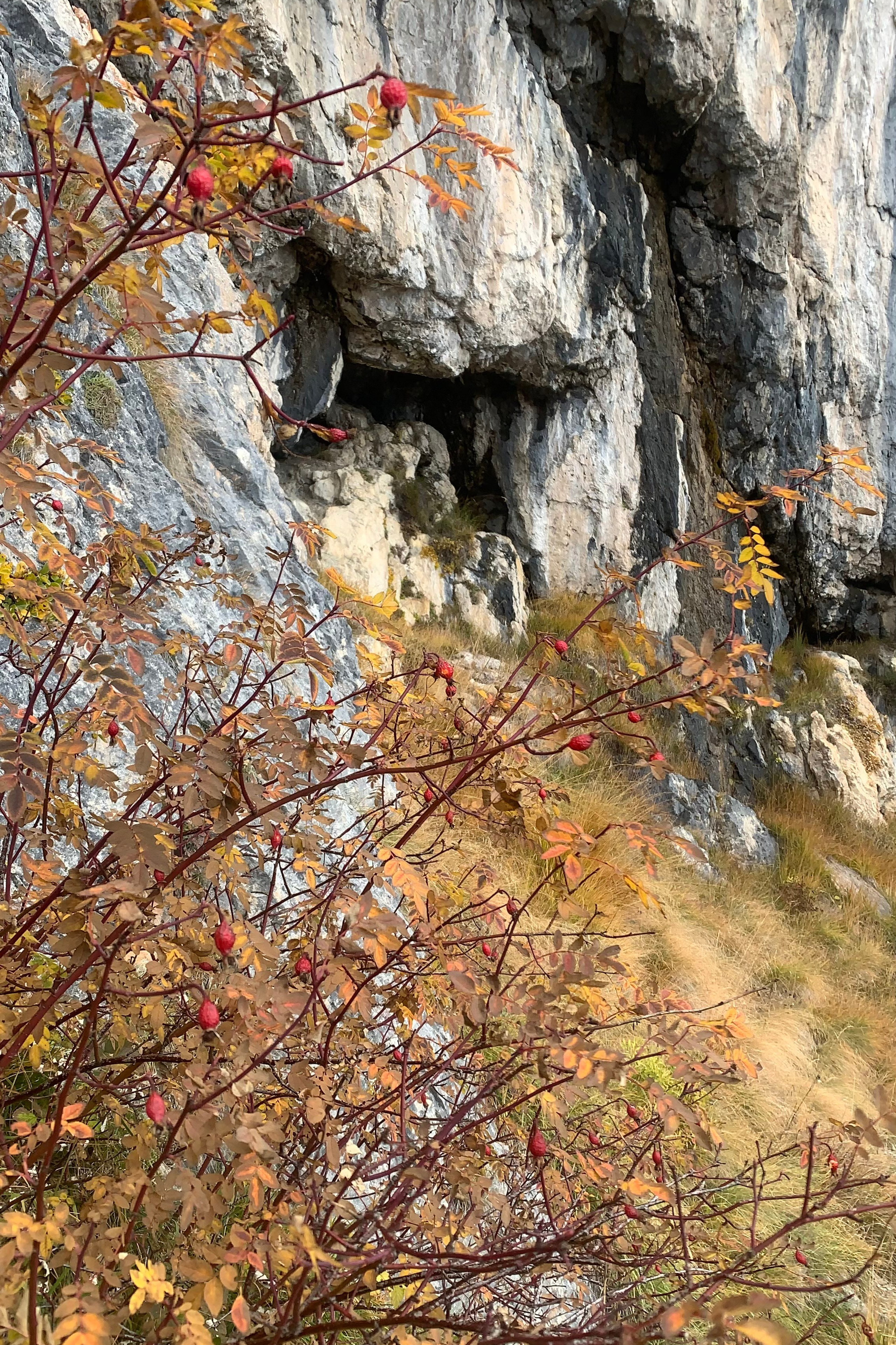 Blog. Nadia Kuprina. Artist