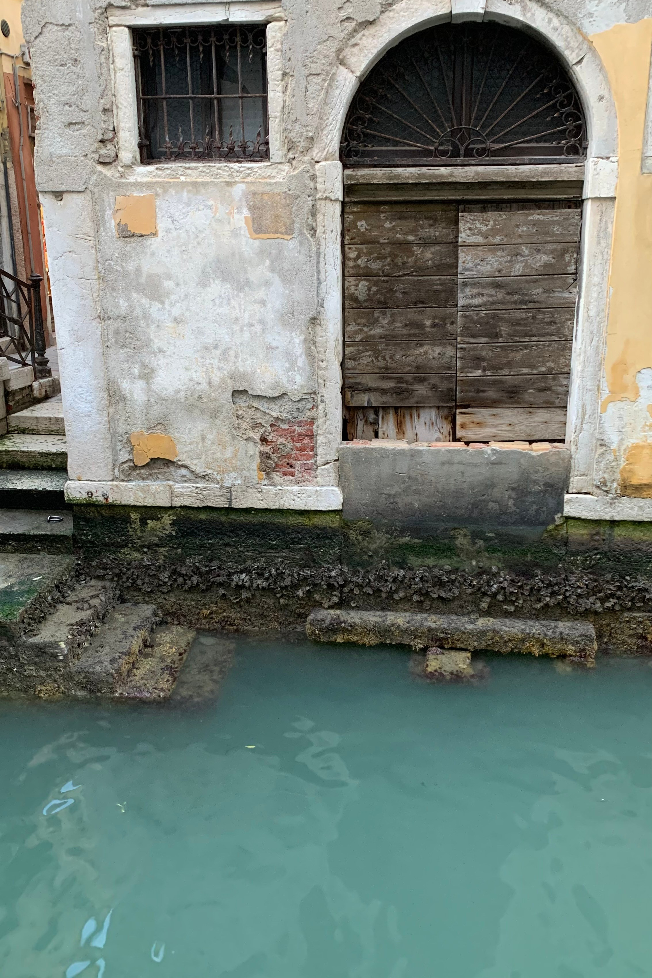 The Eyes of Venice. Nadia Kuprina. Artist