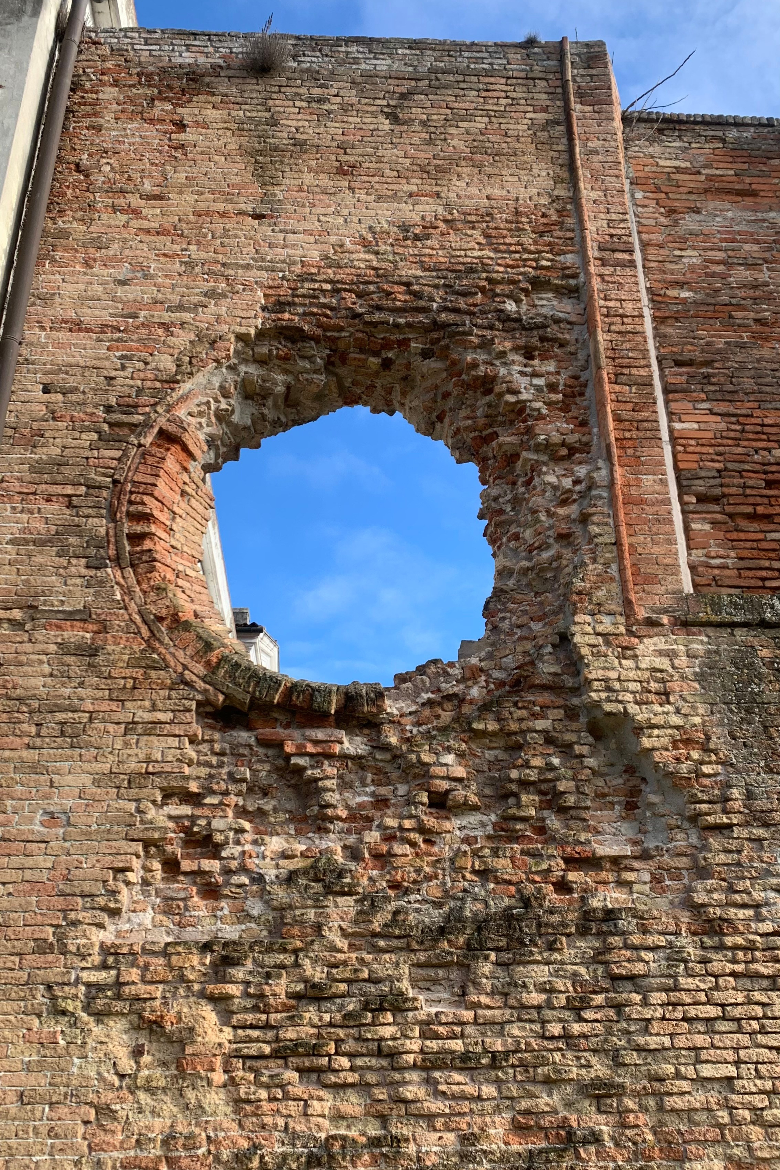 RISALTO! Bologna. Nadia Kuprina. Artist