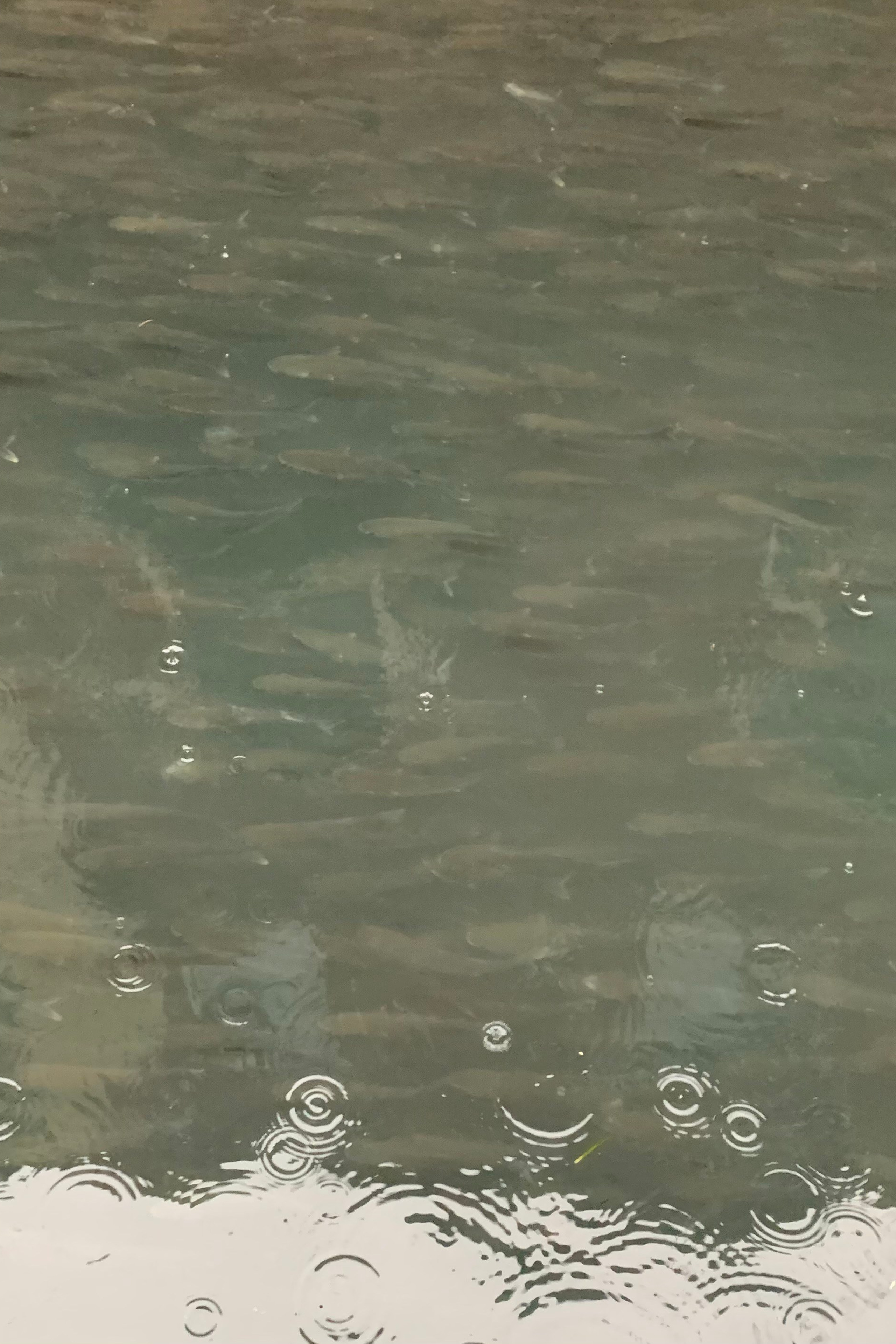 The Entrance. Nadia Kuprina. Artist