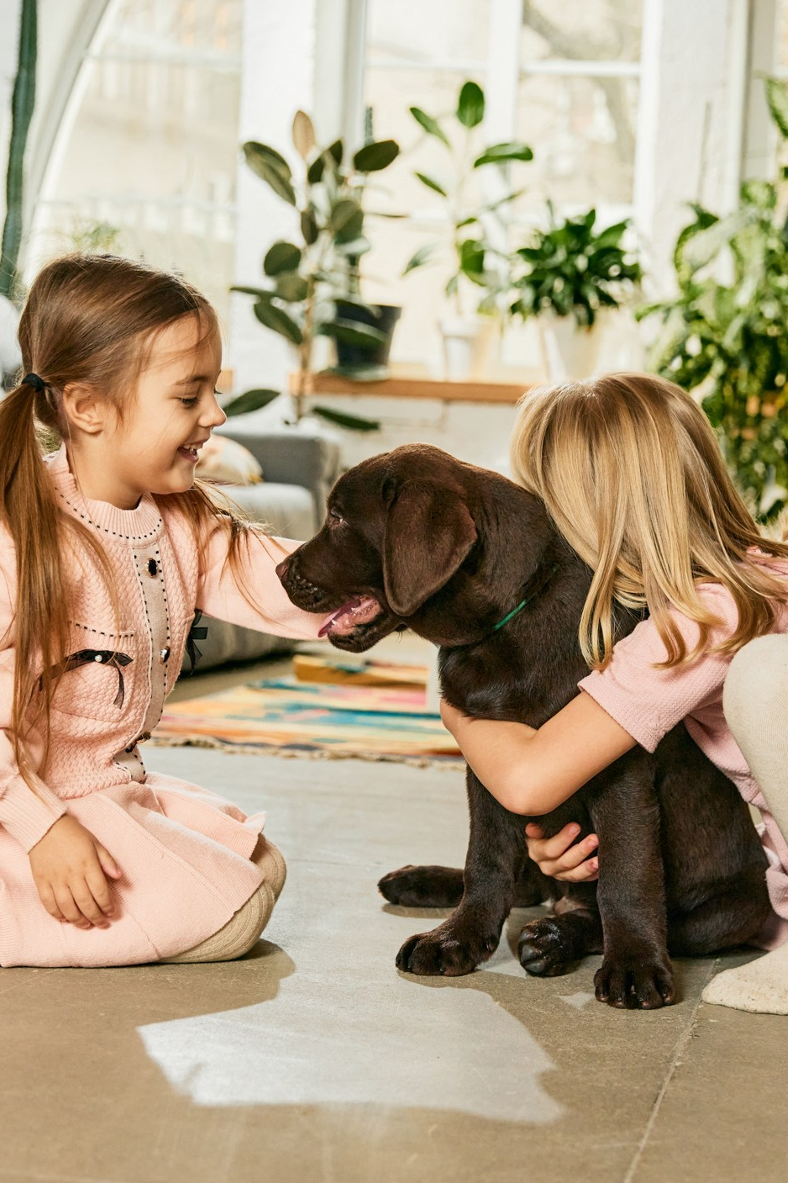 Все про лабрадорів. Цуценята лабрадор ретривера, Дніпро, Україна