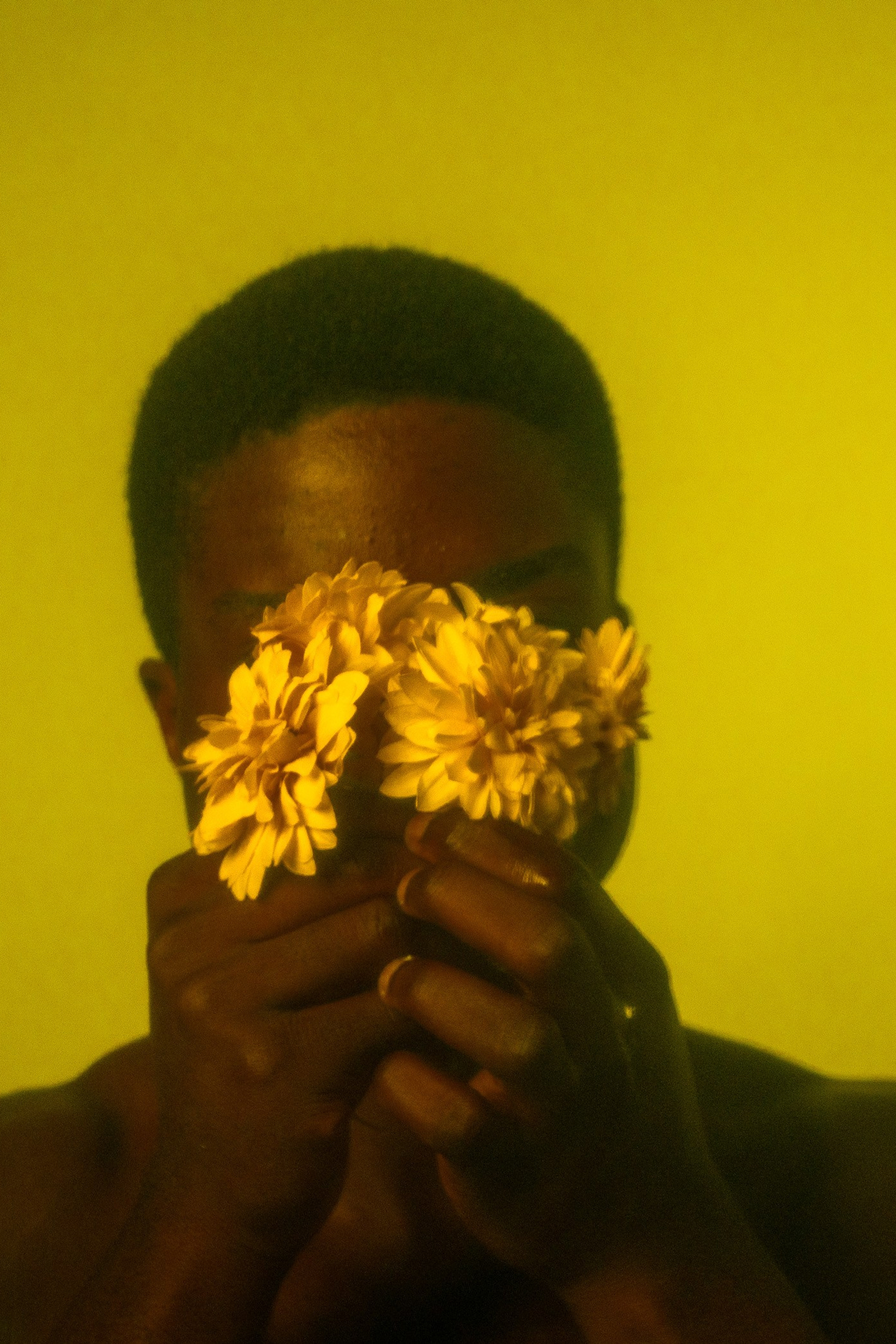 In the Shadows of Elegance