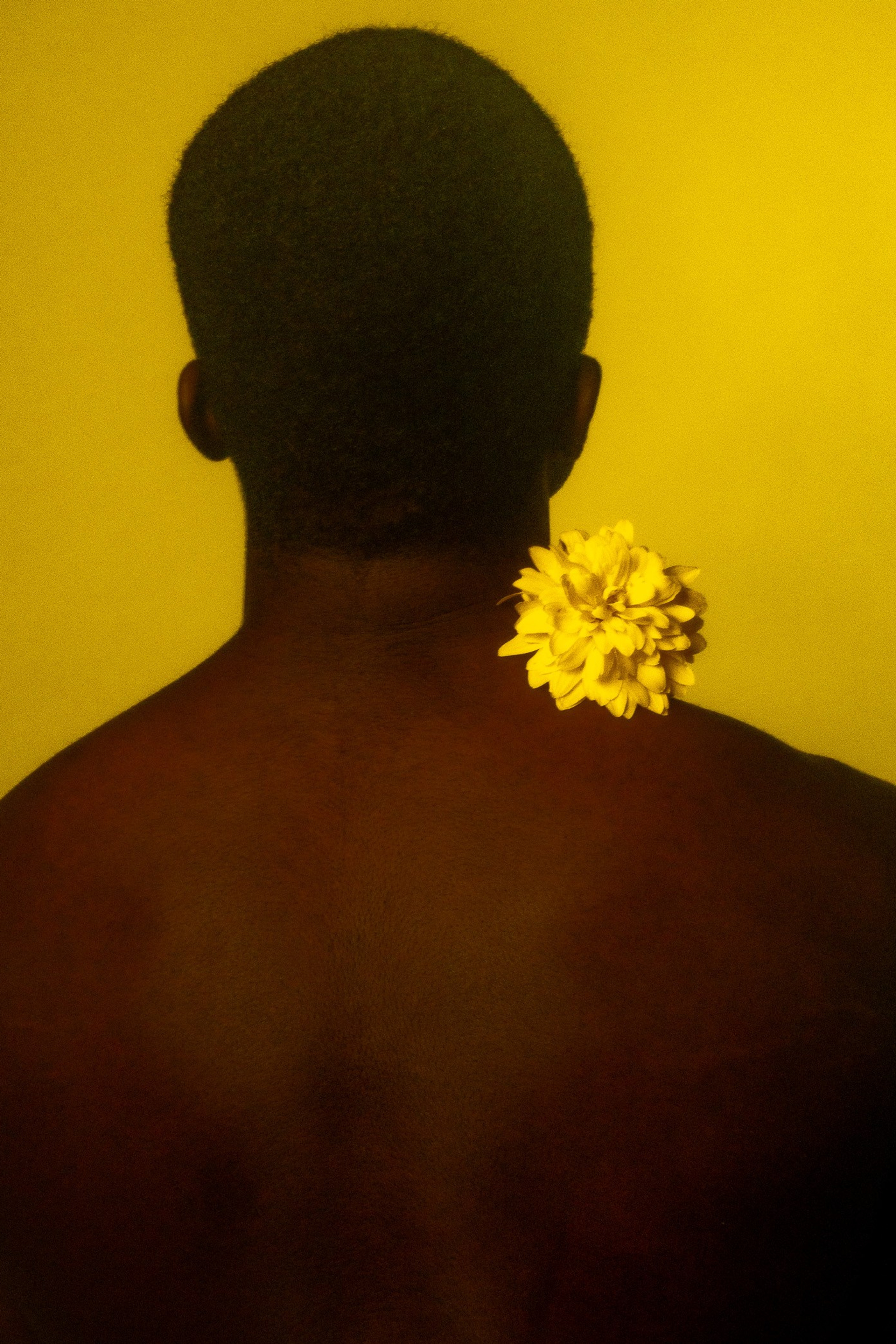 In the Shadows of Elegance