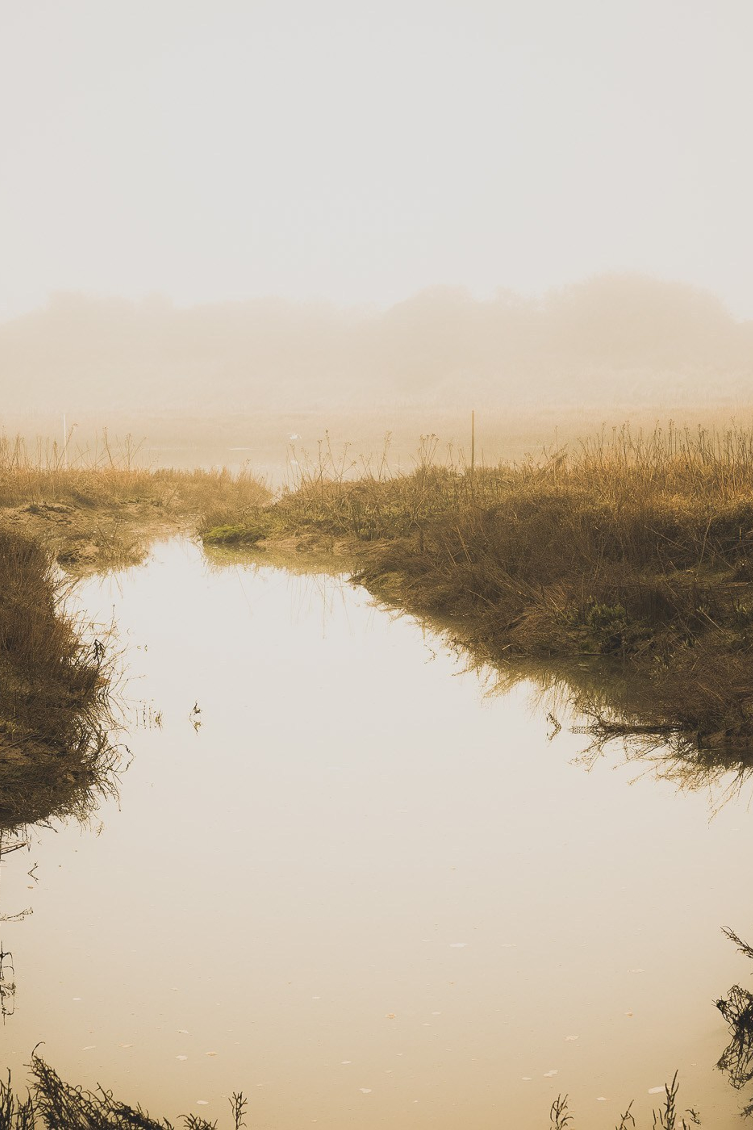 Silent Intervals – En undersökning av kropp, rum och tystnad | Elli Asker