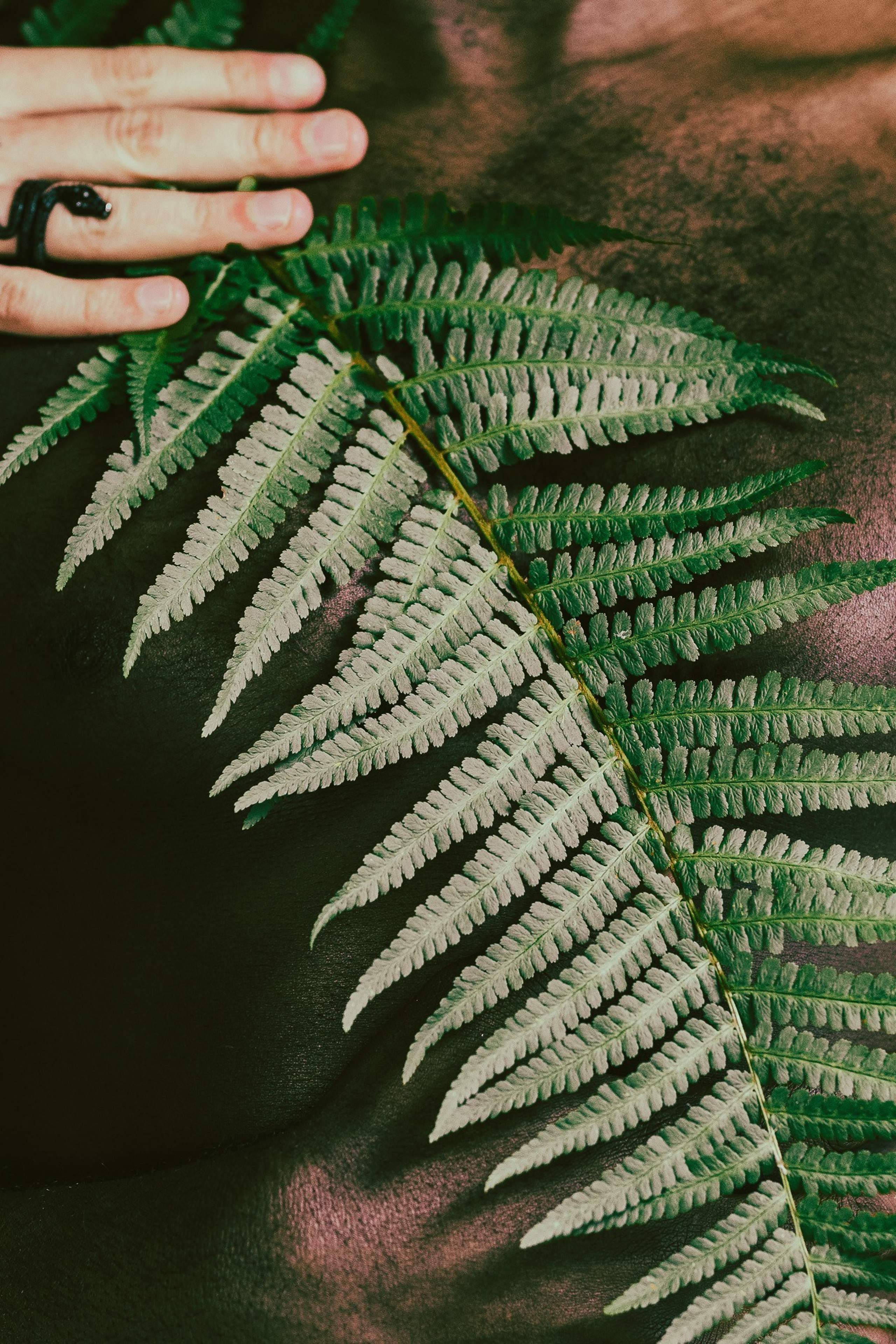 Silent Intervals – En undersökning av kropp, rum och tystnad | Elli Asker