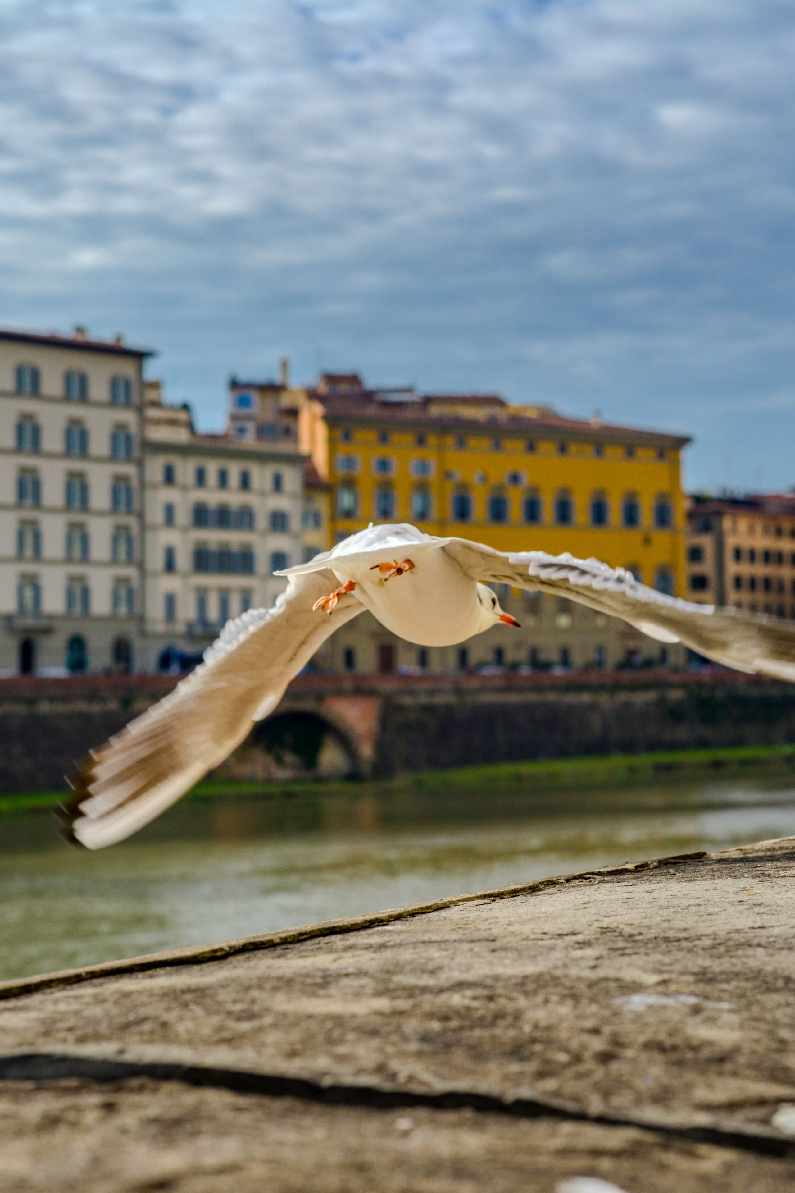 Ale Kor — Photographer in Italy | Lake Como, Lake Garda, Verona & Dolomites