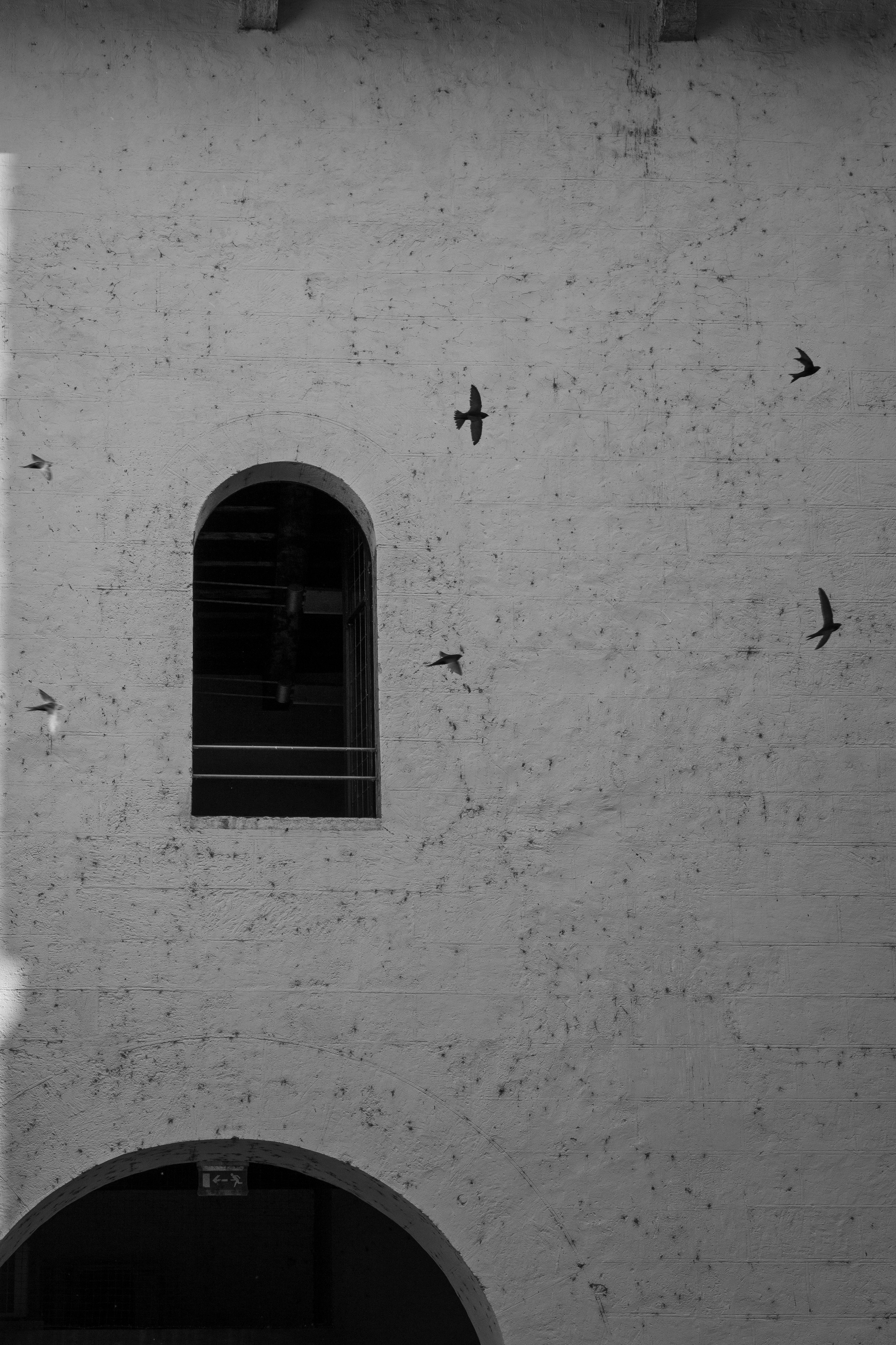 Ale Kor — Photographer in Italy | Lake Como, Lake Garda, Verona & Dolomites