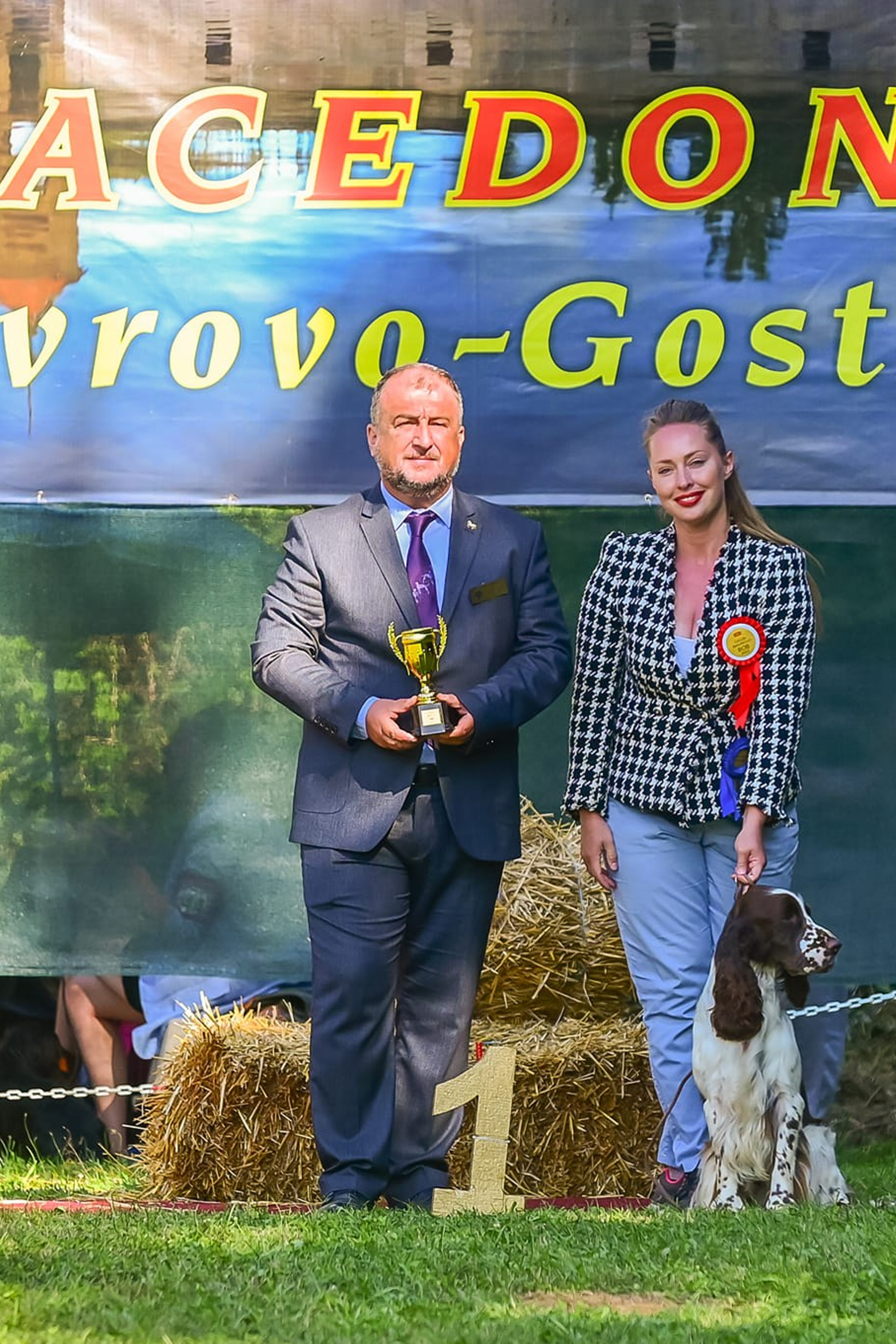 English Springer Spaniel show results WANDERLOVE JESSE JAMES. Website of the titled stud dog of the Springer Spaniel breed
