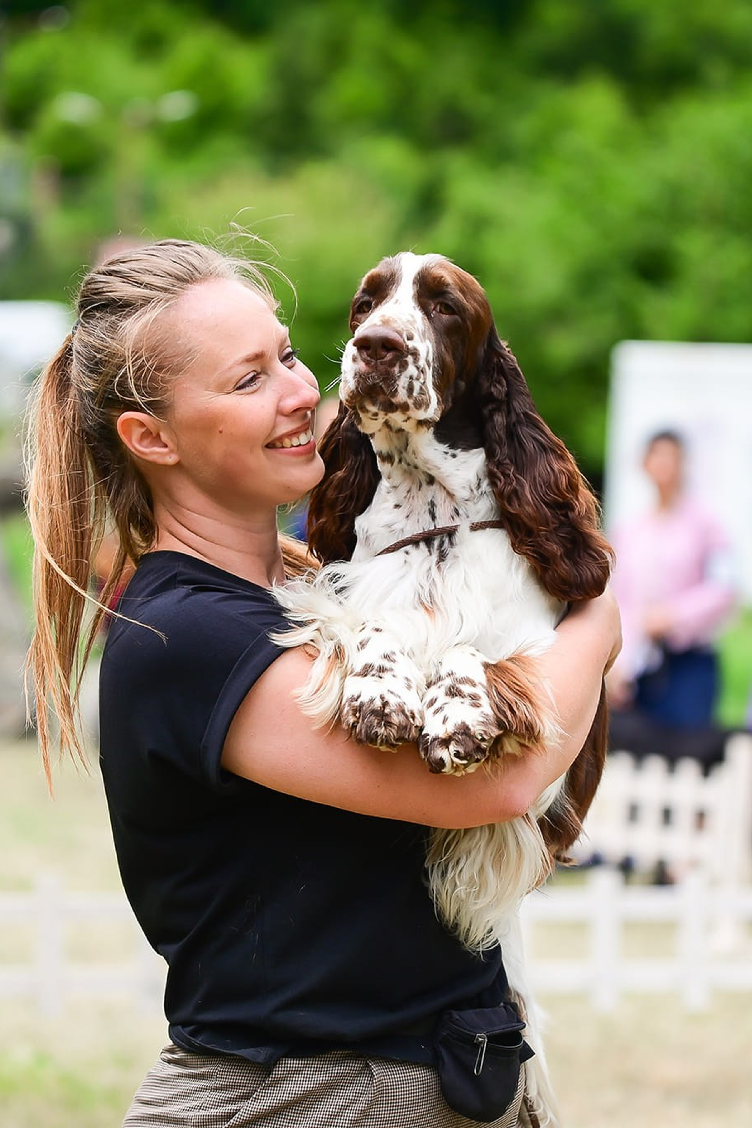 English Springer Spaniel show results WANDERLOVE JESSE JAMES. Website of the titled stud dog of the Springer Spaniel breed