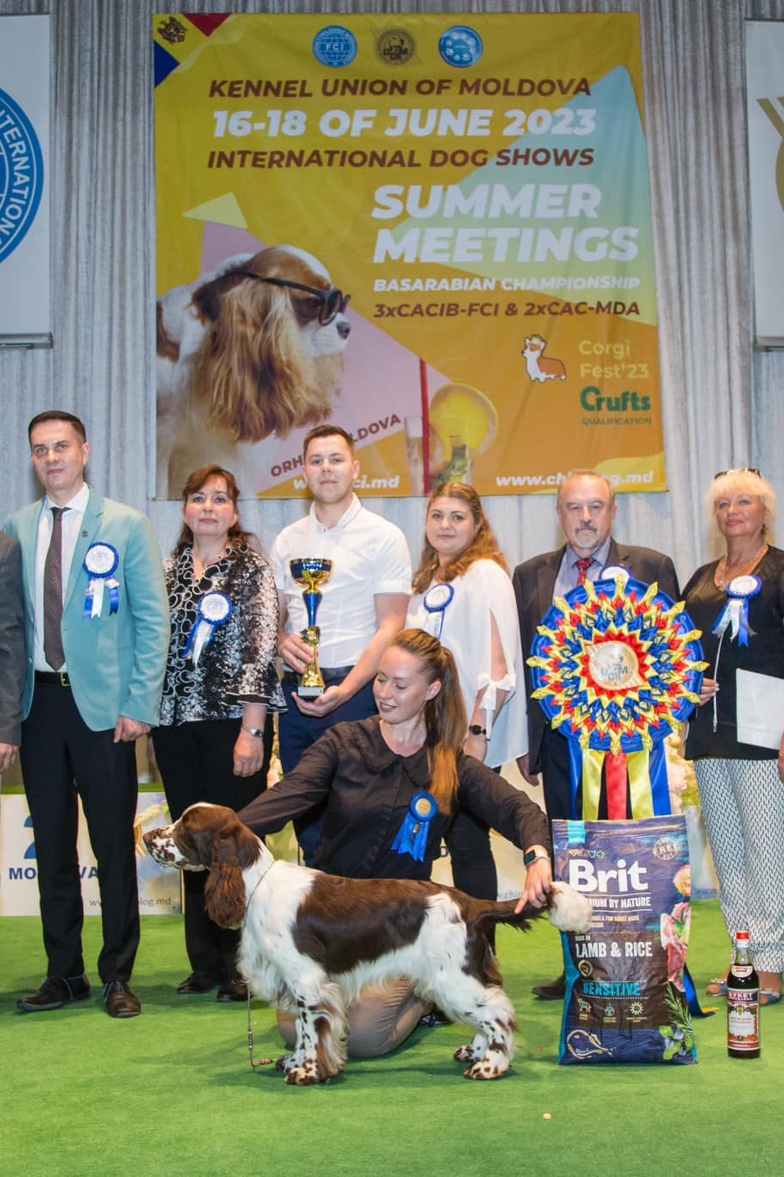 English Springer Spaniel show results WANDERLOVE JESSE JAMES. Website of the titled stud dog of the Springer Spaniel breed