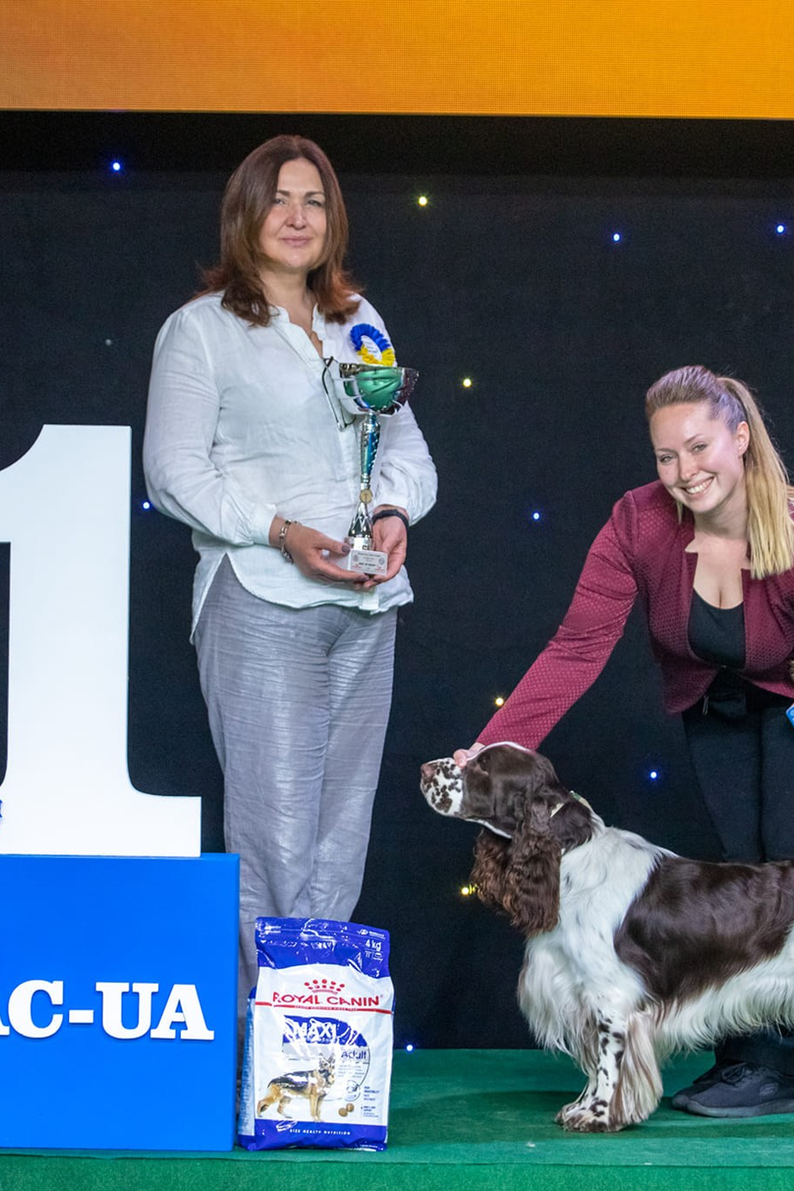 English Springer Spaniel show results WANDERLOVE JESSE JAMES. Website of the titled stud dog of the Springer Spaniel breed