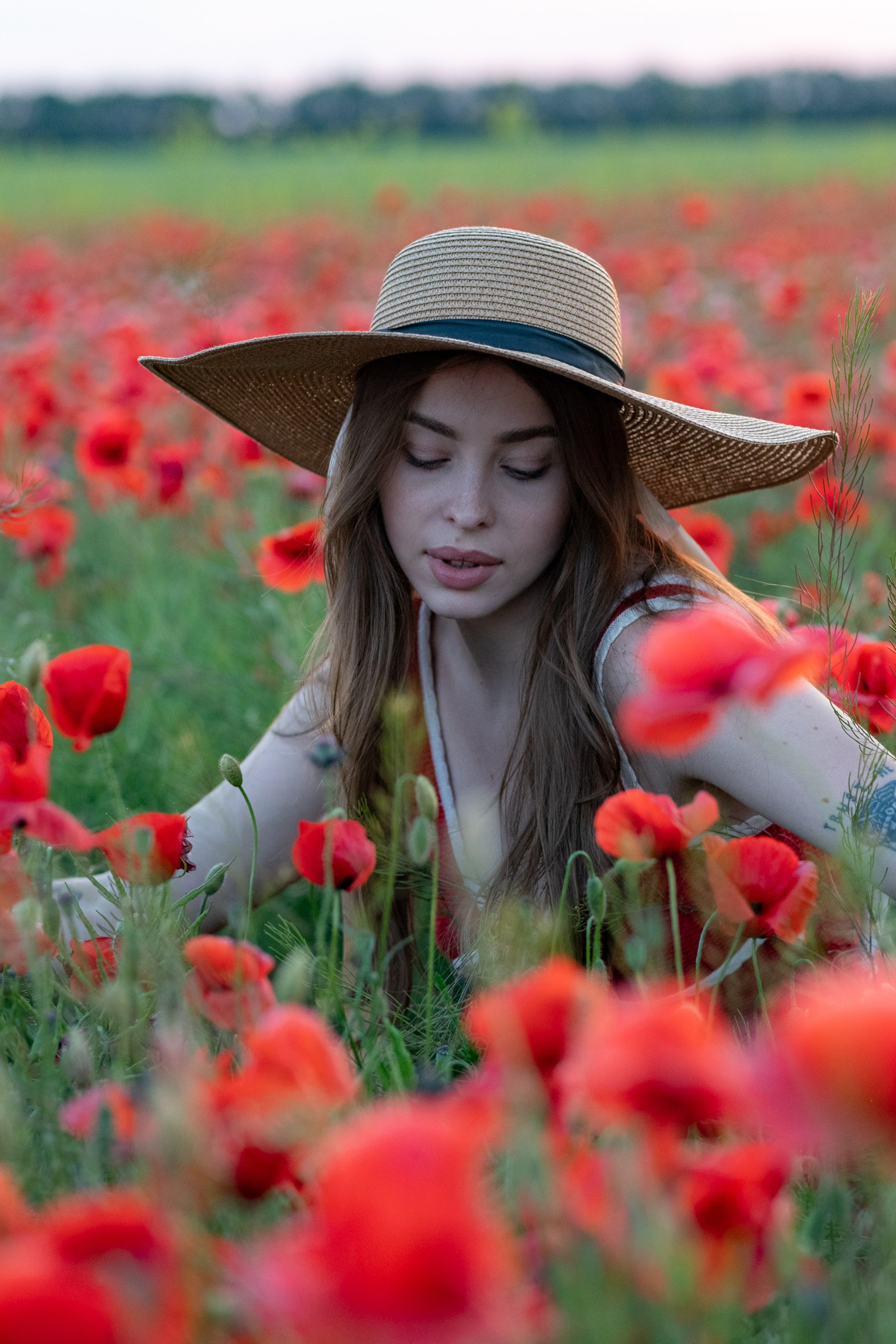 Фотосессия в глицинии. Фотограф в Запоріжжі та Європі