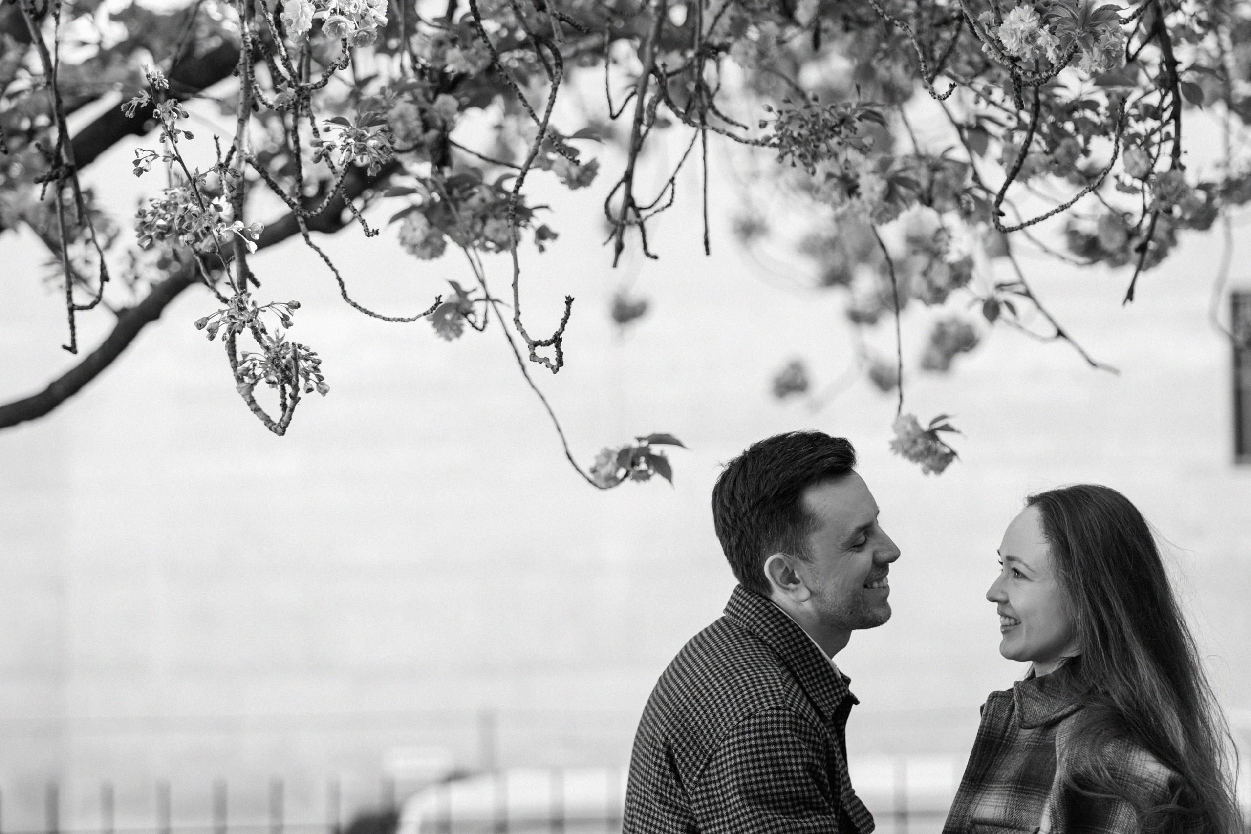 Весна у Pont Neuf