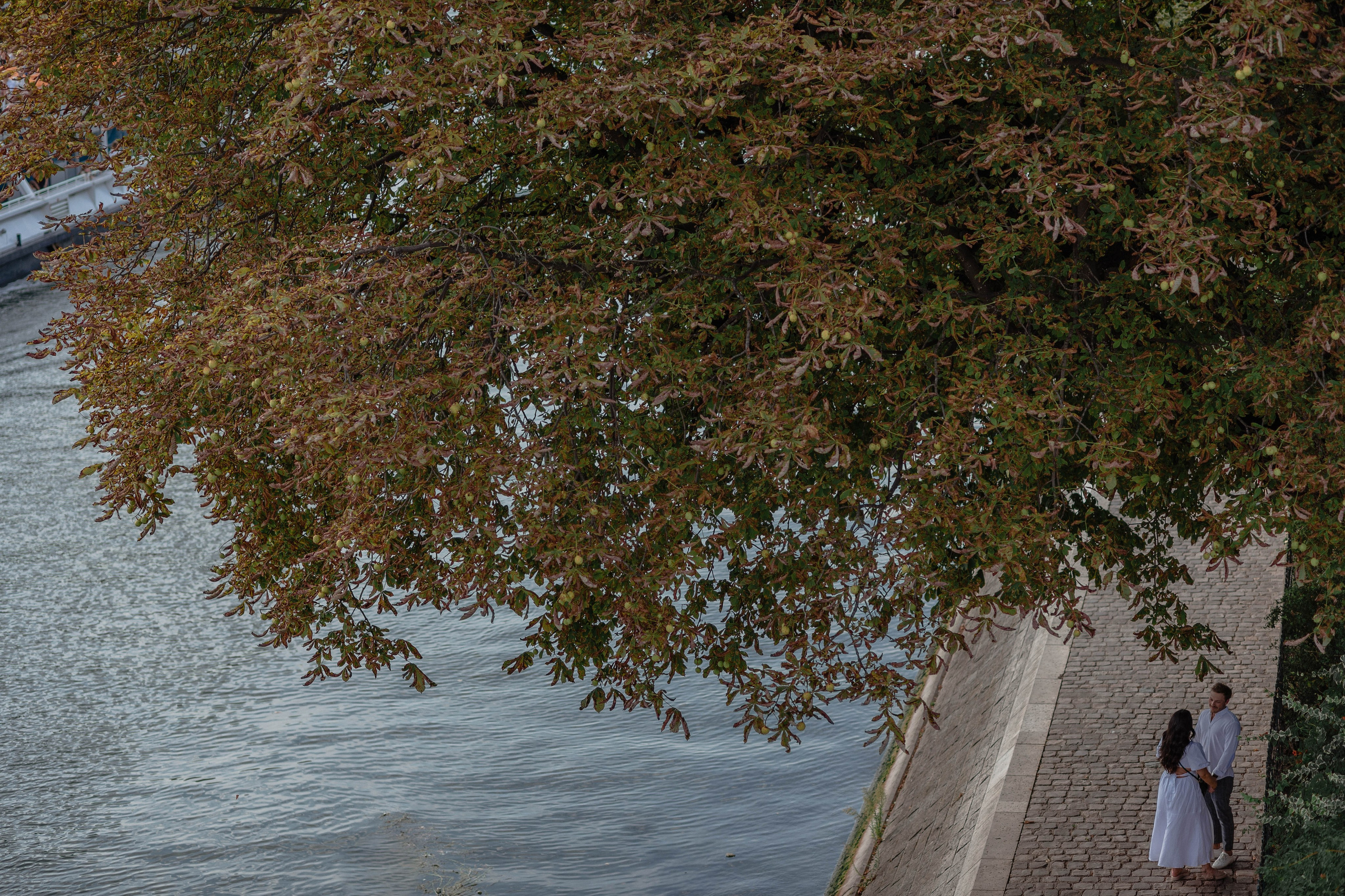 Секретное предложение руки и сердца