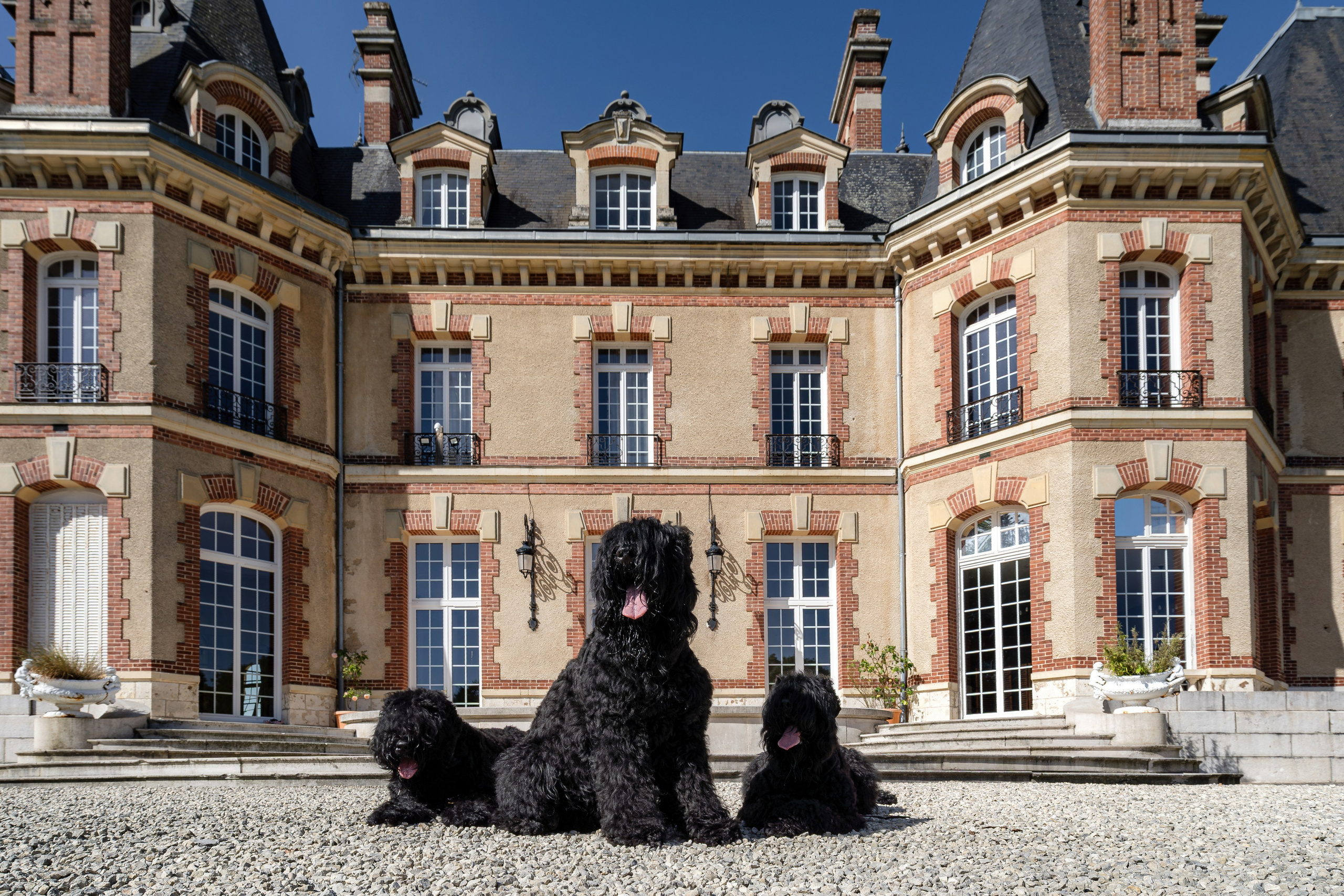 Photographe à Strasbourg | Les animaux, Portraits, Studio, Événements