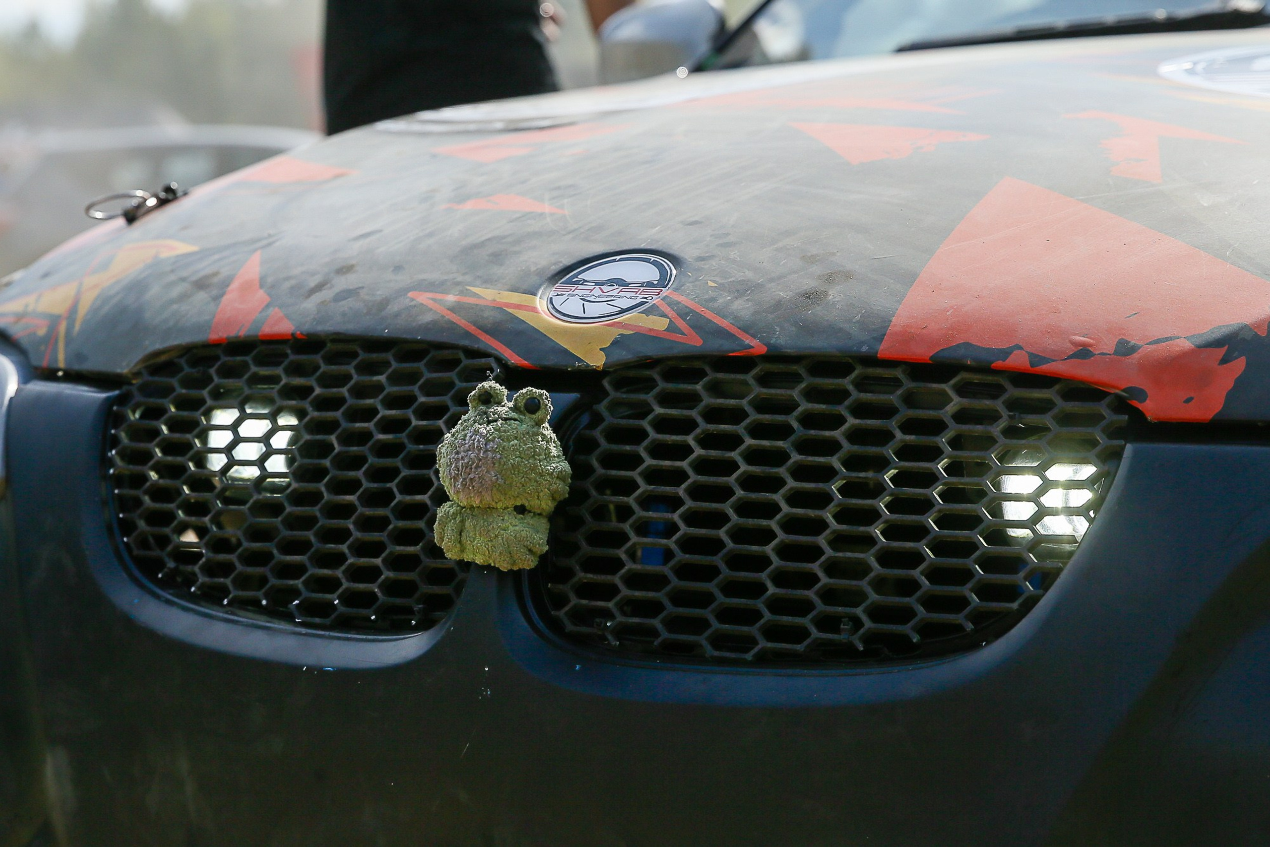 Sports Photography – Action & Emotion. Ilya Vaga