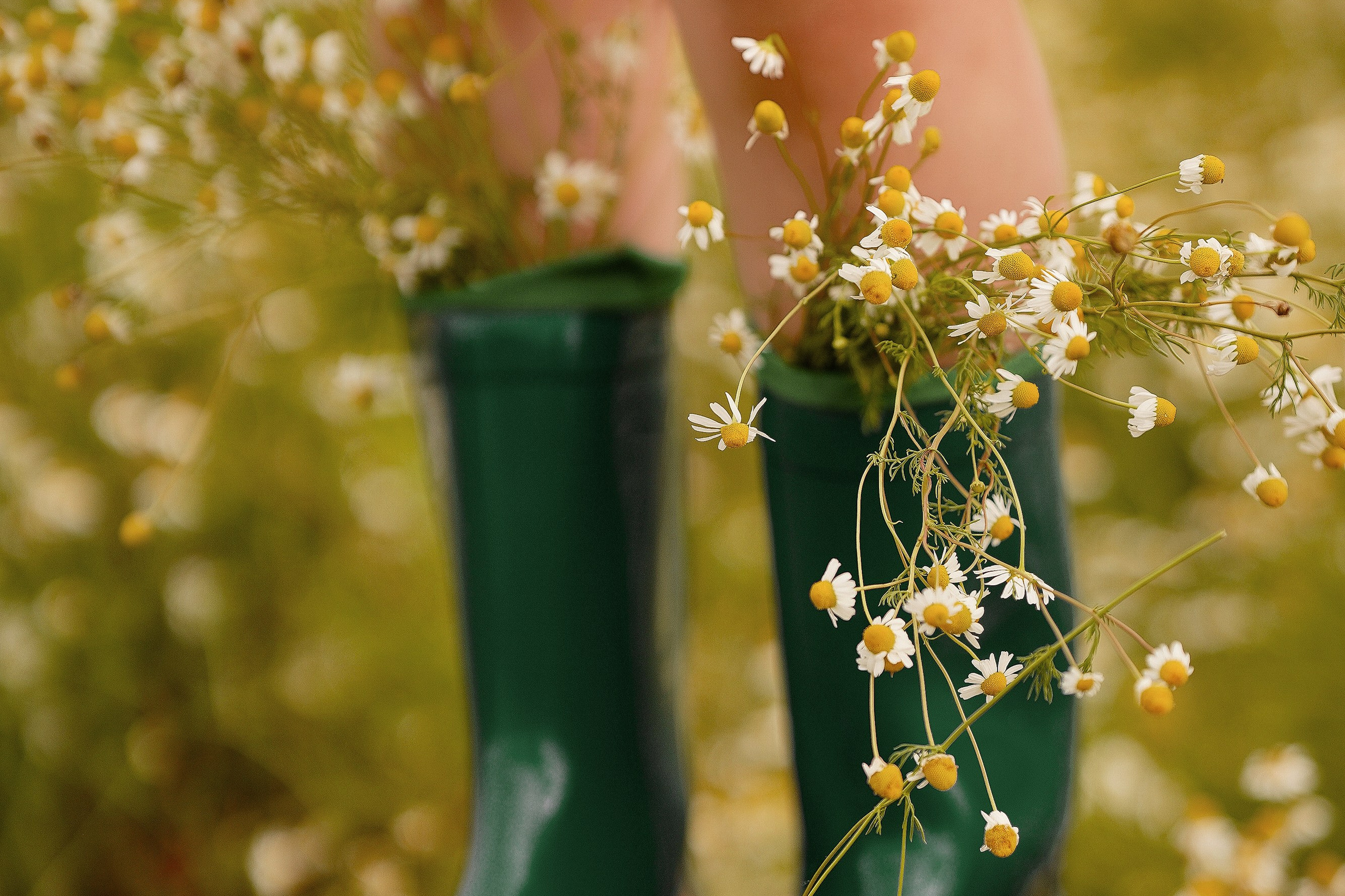 Sommer, Mohnblumen und der Wind. Portraitfotografie in Gründau Elena Ohnstedt