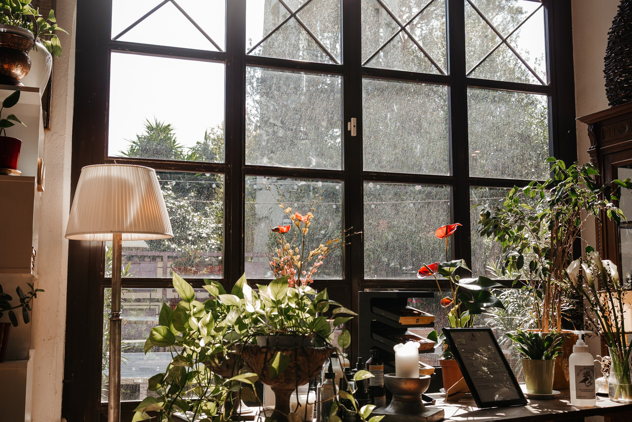 Servizi fotografici per attività locali. Fotografa maternity, family e business a Pomezia e Roma – Simona Henkel