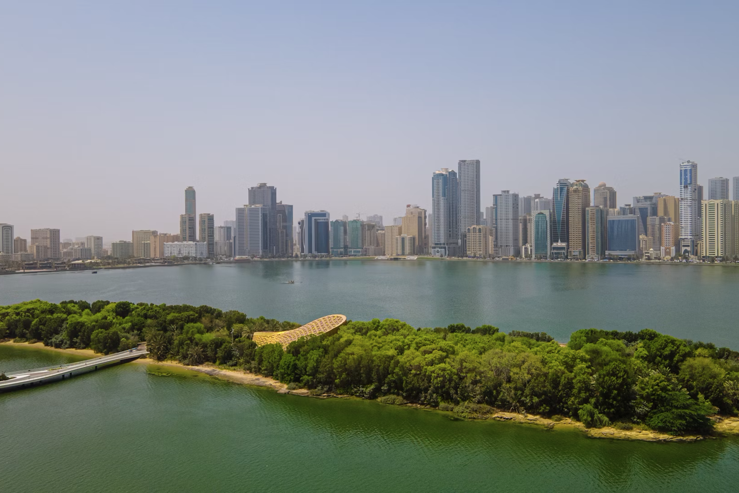 News. Daria Goncharova / Conceptual artist