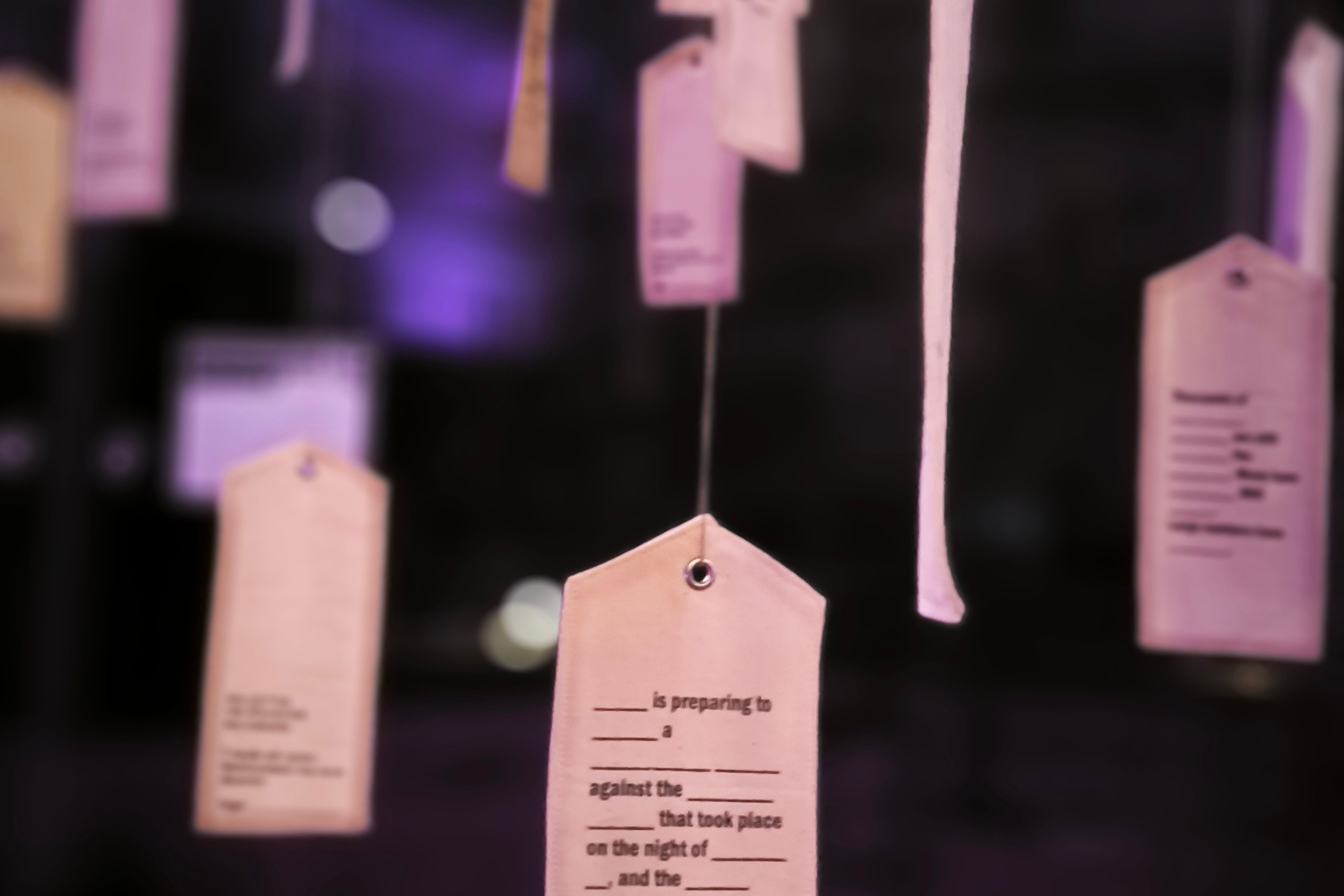 News. Daria Goncharova / Conceptual artist