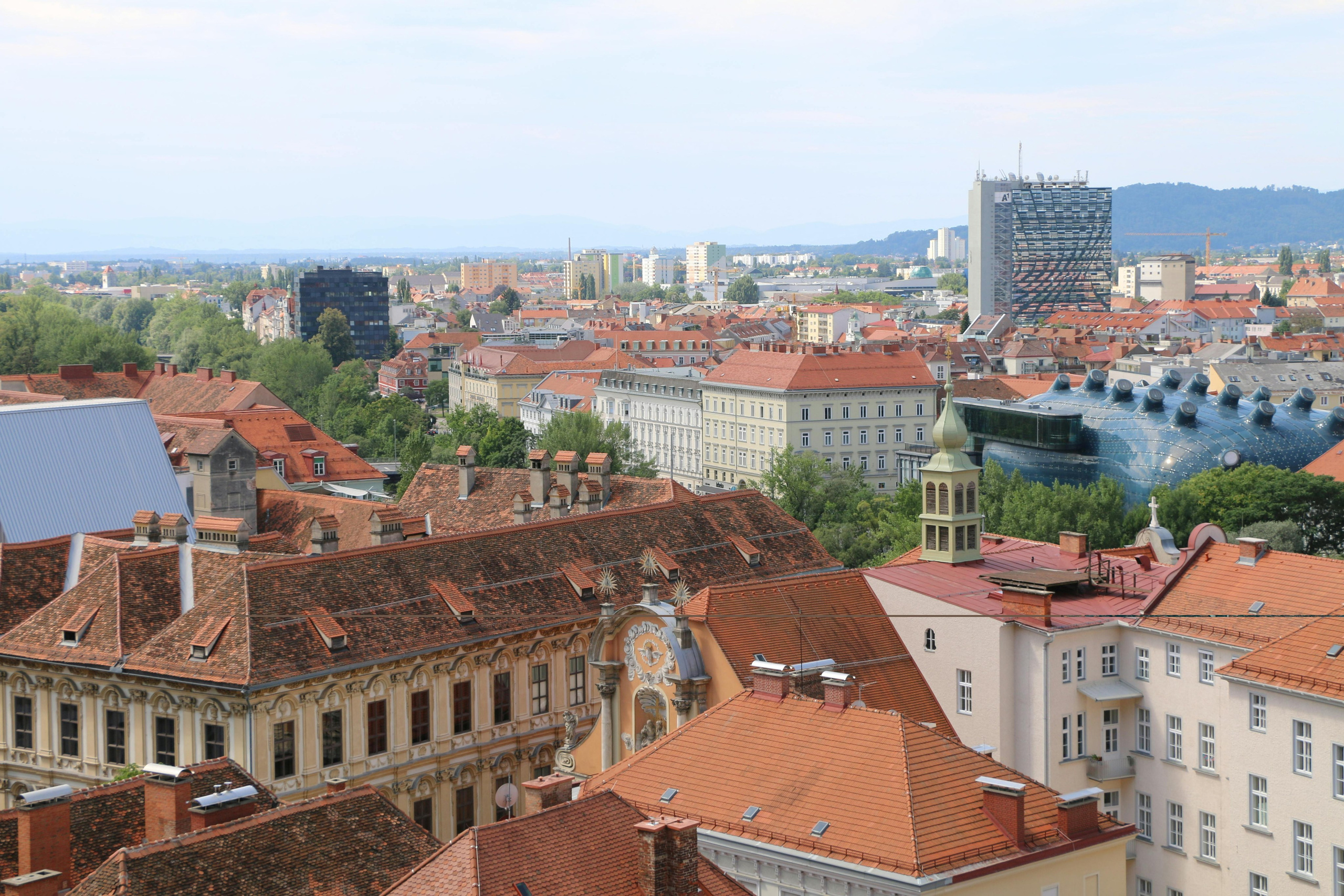 News. Daria Goncharova / Conceptual artist