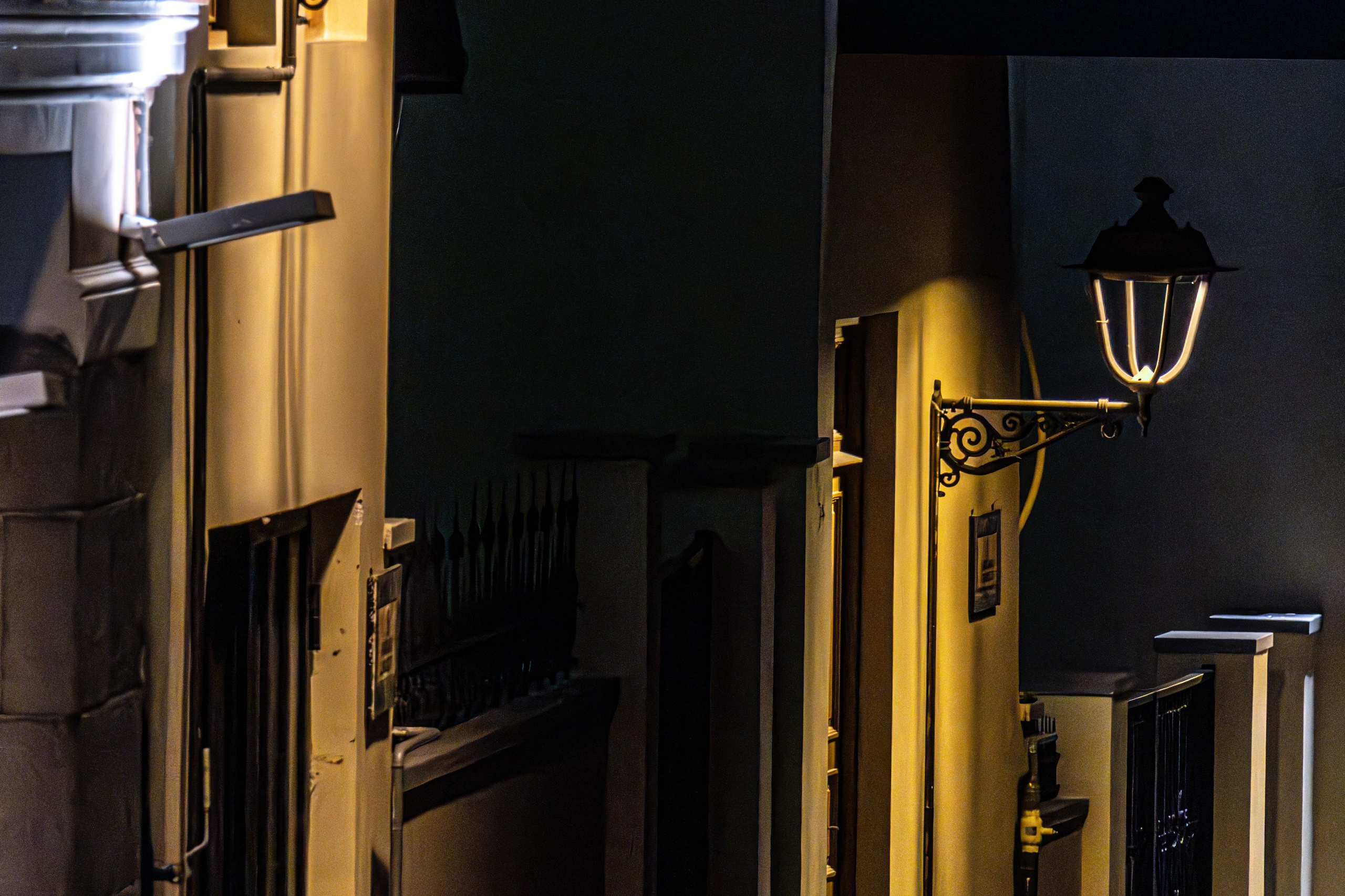 ფოტოამბები. FramefreeMan