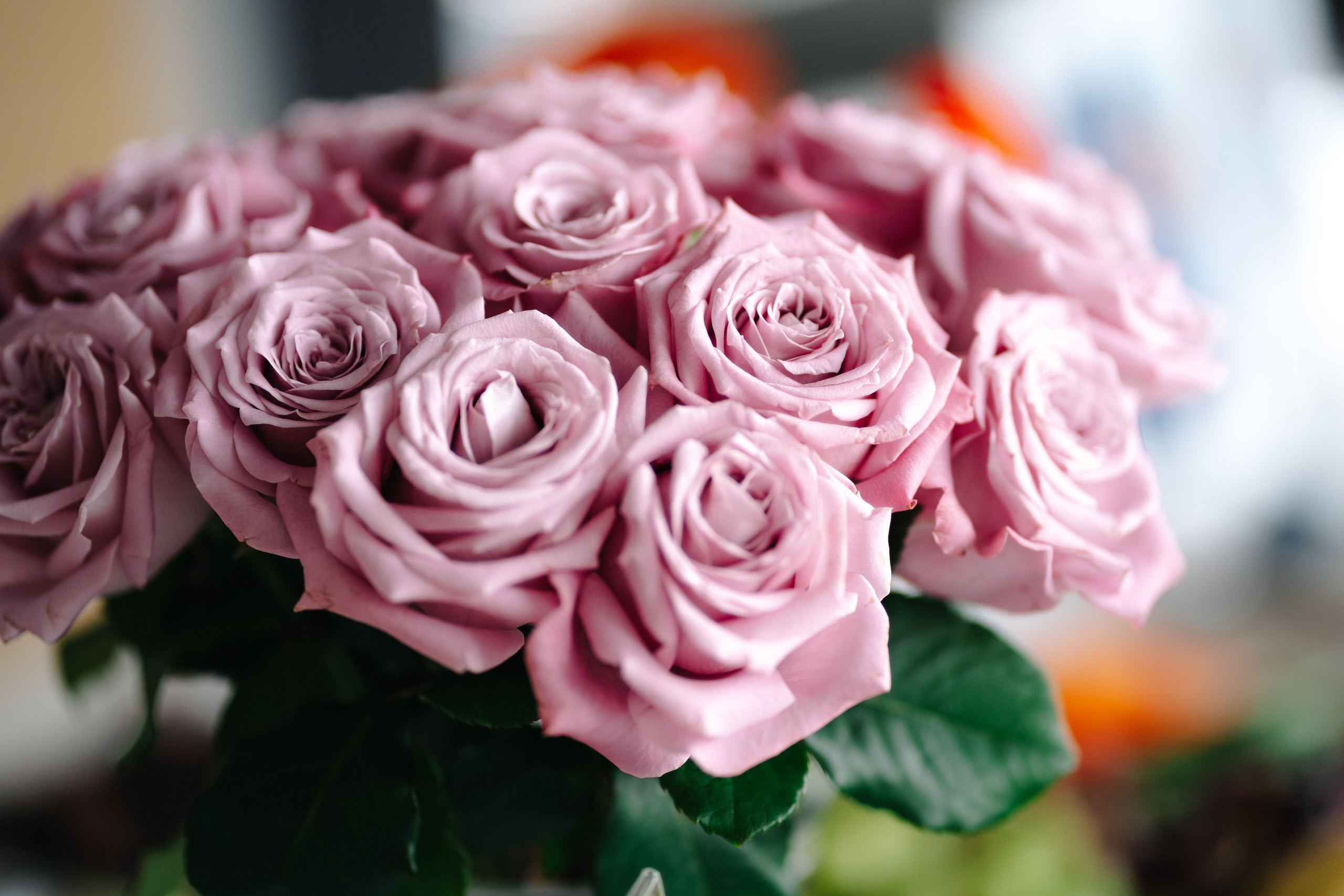 Why Makeup Matters | Burnaby Portrait Photographer