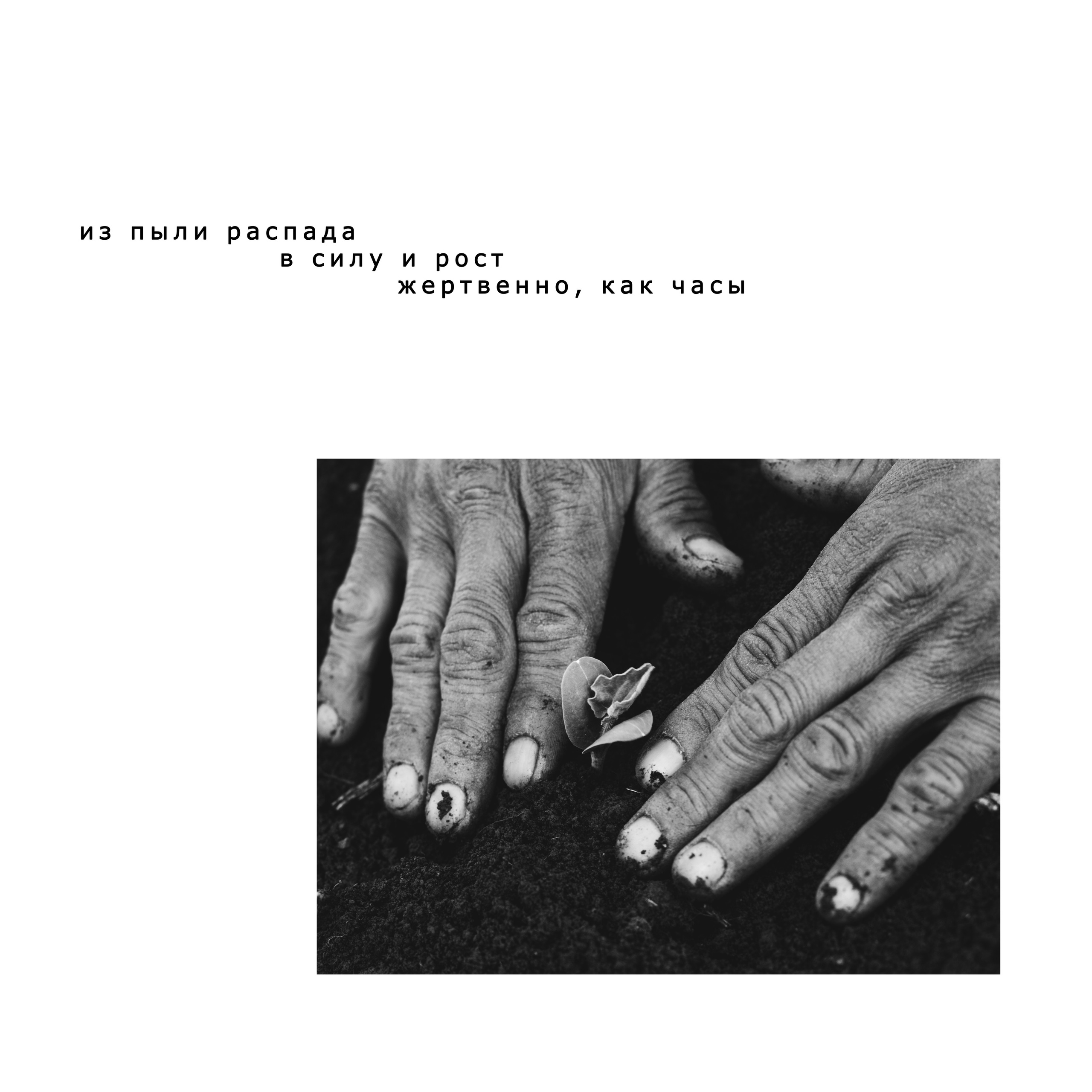 Photo projects «THE CREATOR». Julia Sonata. Berlin