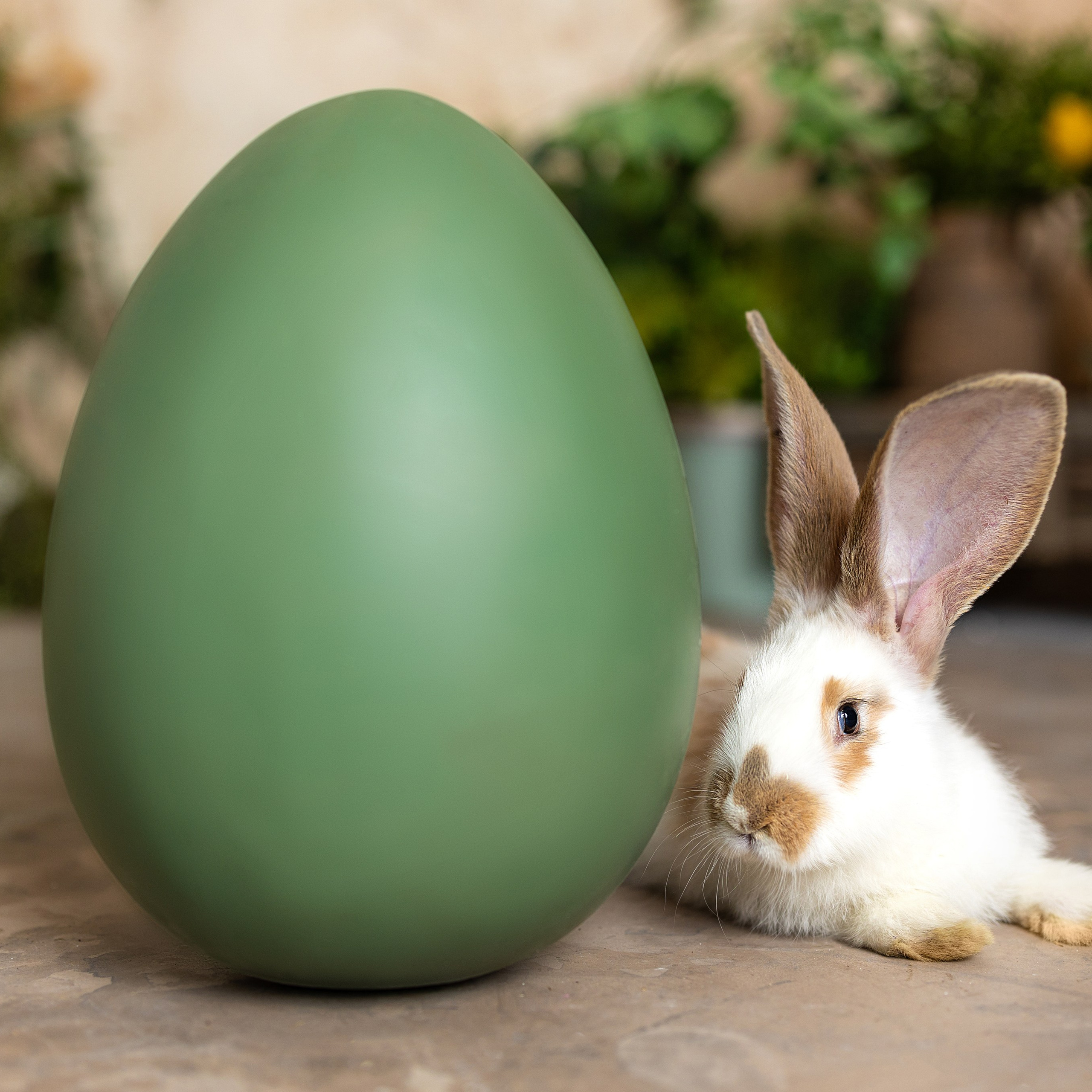 Великденска Фотосесия. If Sugar Photography — Детски и семеен фотограф в София, Студентски град
