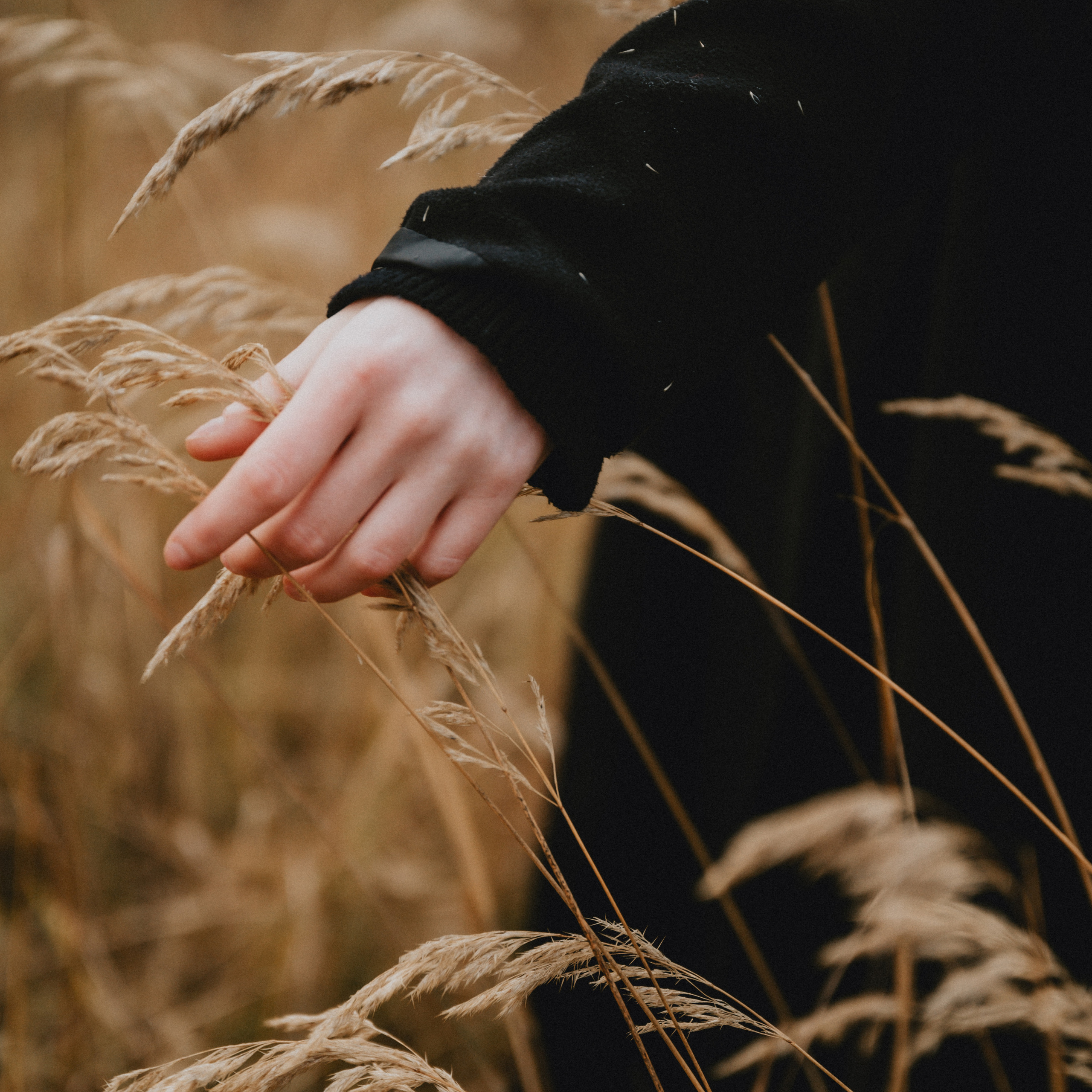 Анонси. NOVITSKIY.PHOTO Весільний і сімейний фотограф Новіцький Роман
