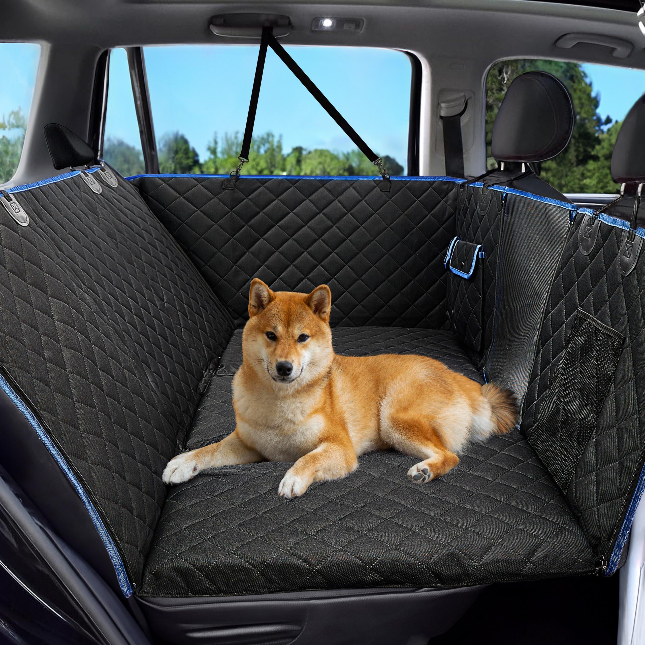 Photography for Pet Products and Animal Accessories