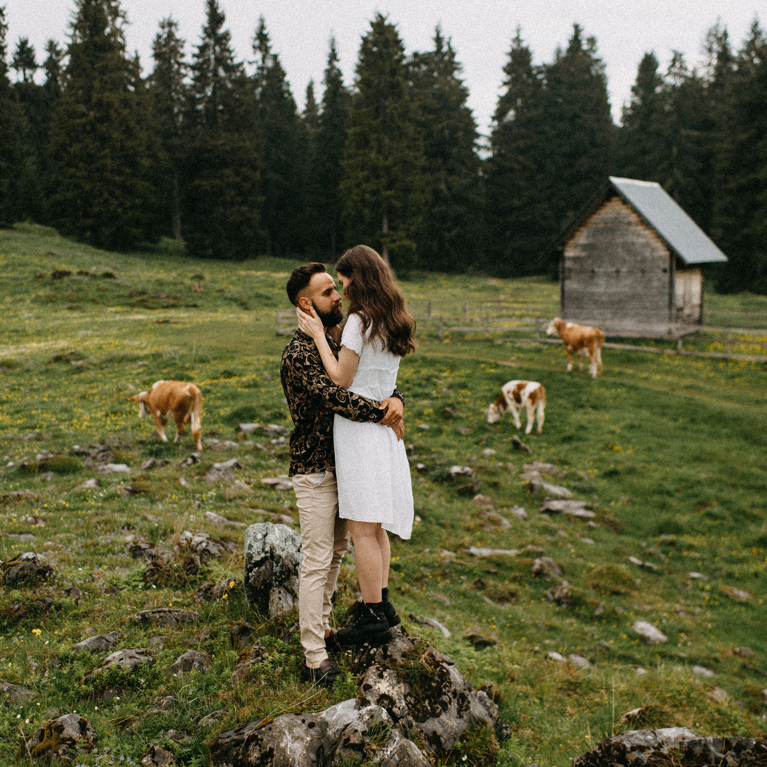 Elopement in Madeira | Mystical Forest of Fanal. Wedding photographer and videographer based in Timisoara, Romania