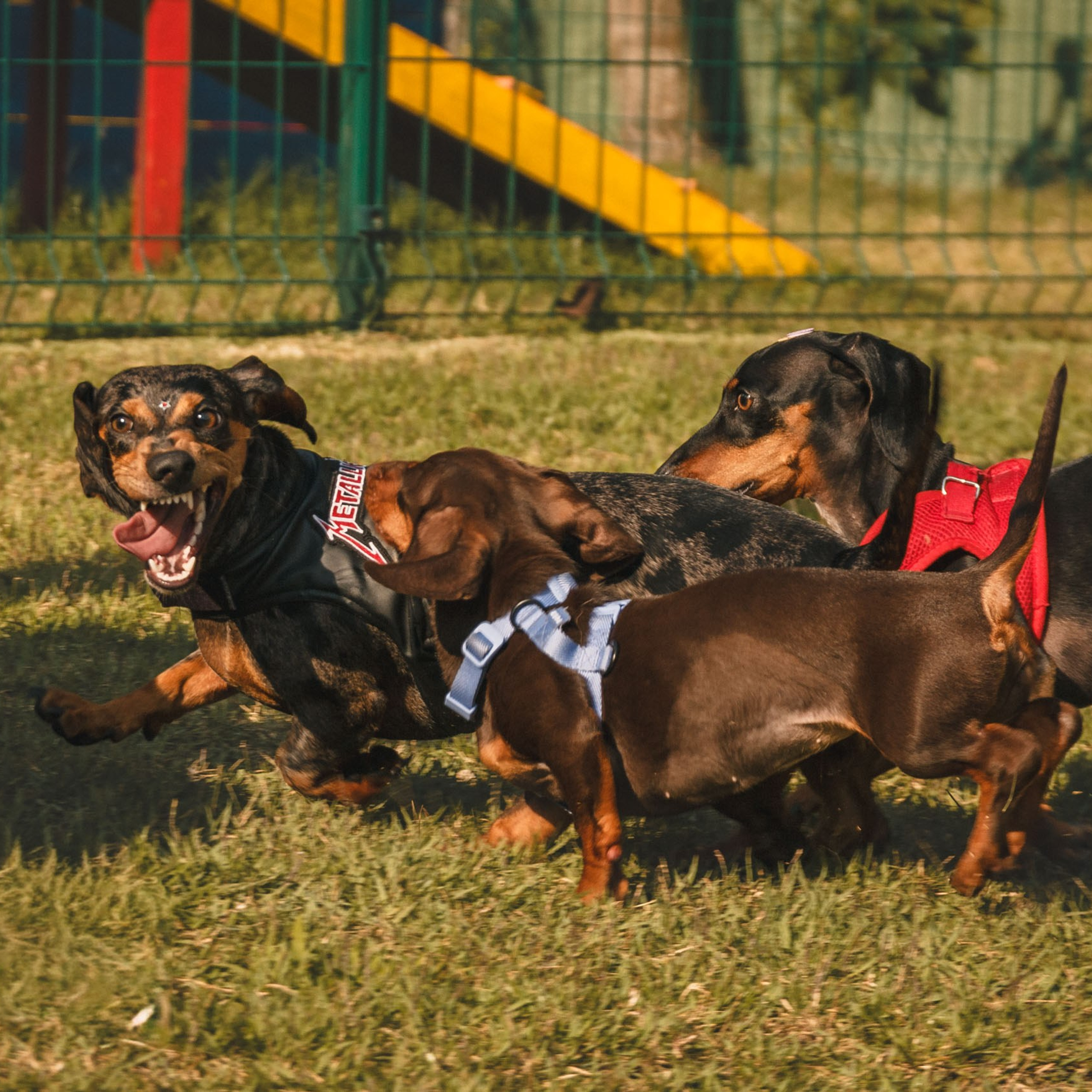 Blog — Marcus Monteiro Fotografia. Marcus Monteiro Fotografia