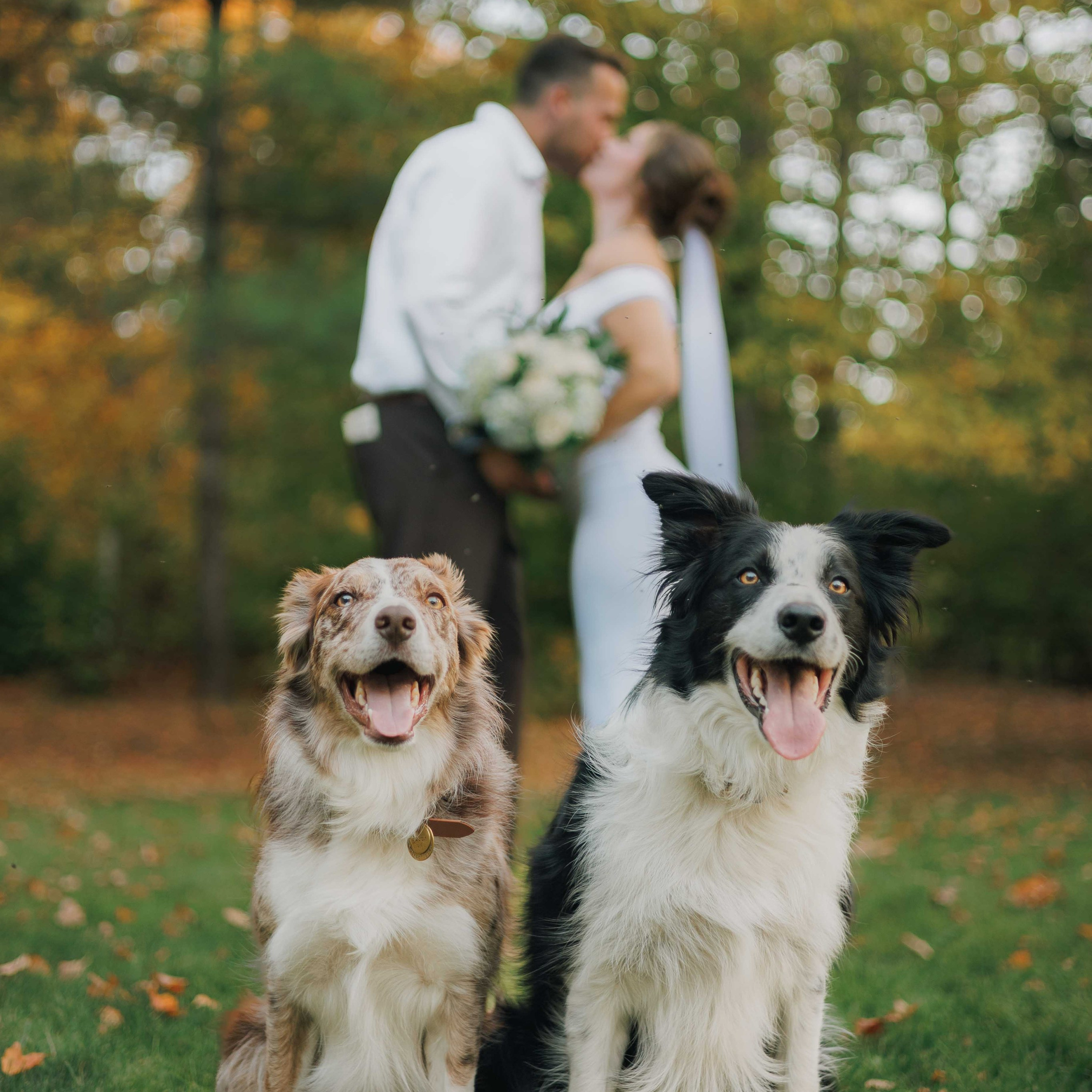 Small wedding ceremony. Photographer Ottawa Jane Krasnopolska