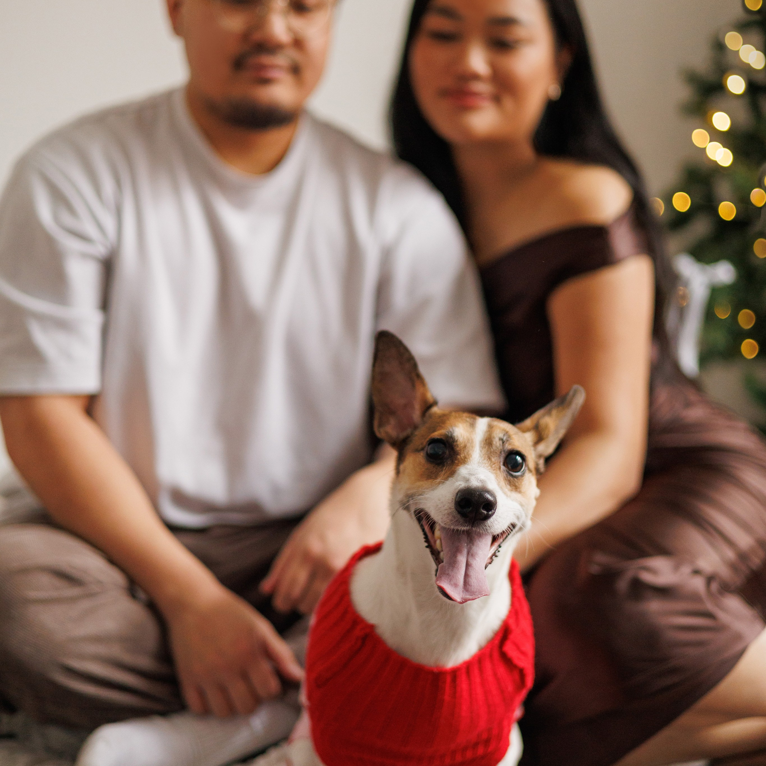 Photographer Ottawa, Love story, maternity, family photoshoot. Photographer Ottawa Jane Krasnopolska