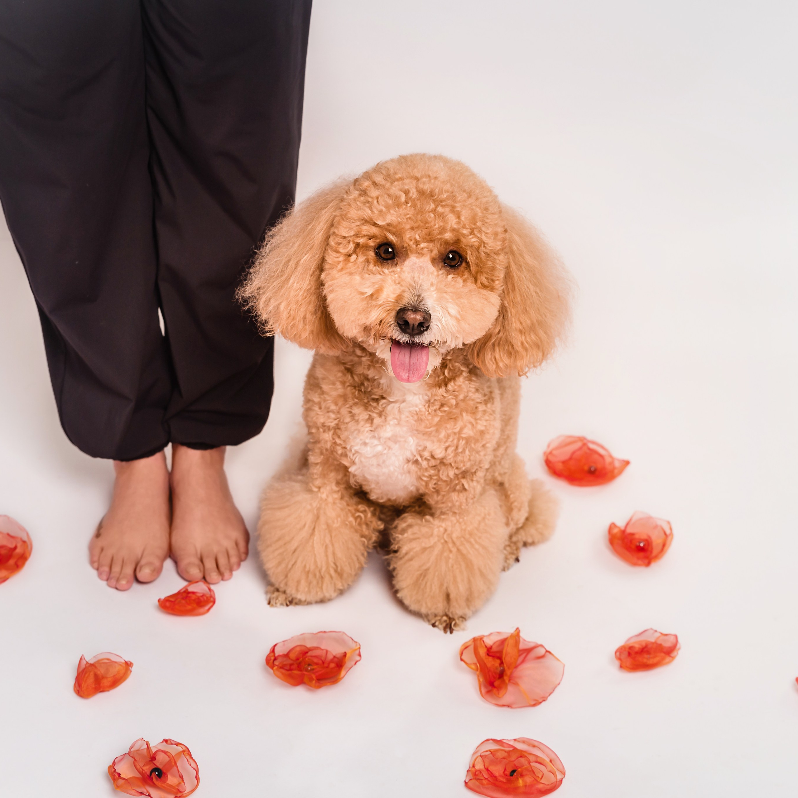 “Сними свою обувь — мы будем ходить босиком…”