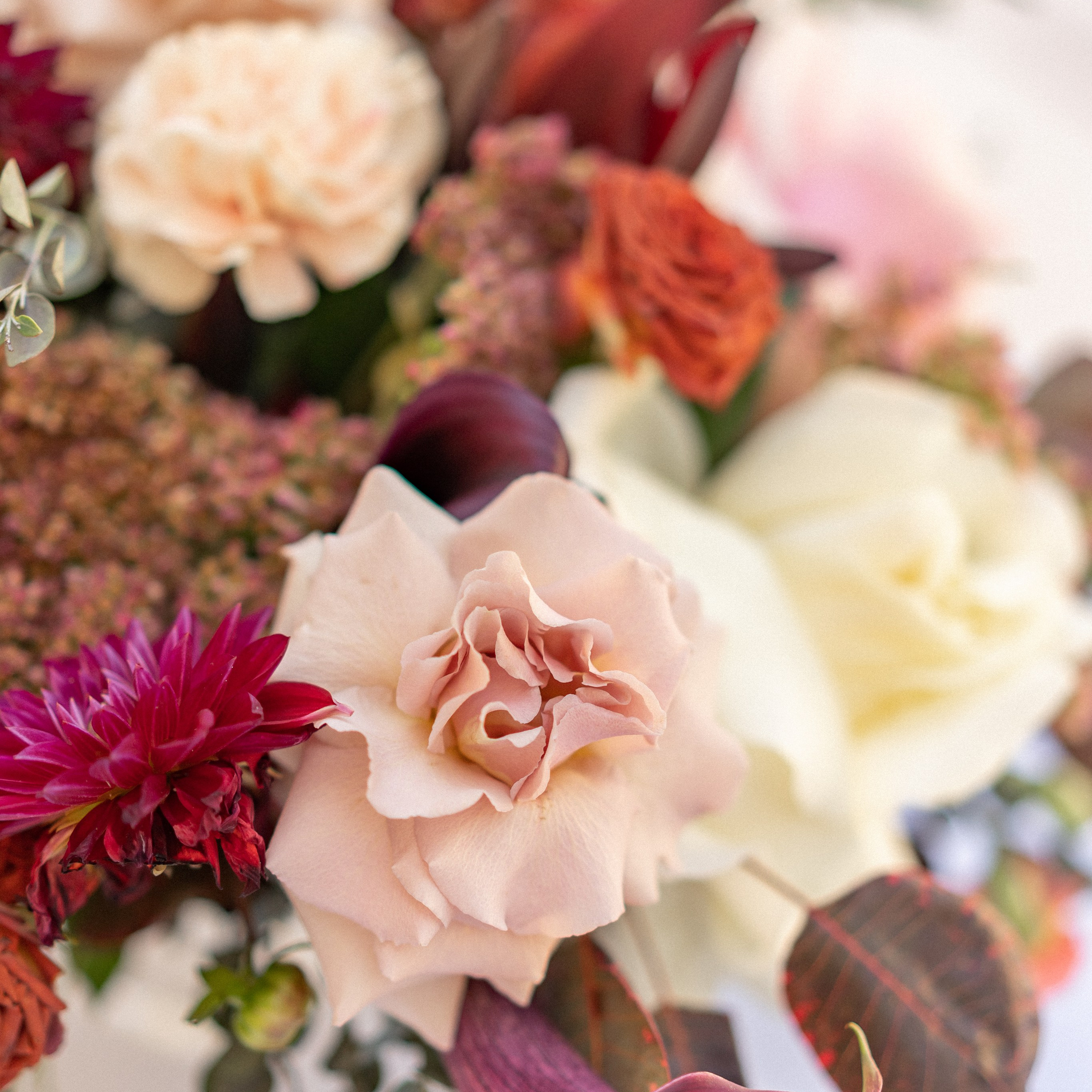 Villa Nikčević: din fortryllende bryllupslokale i Montenegro