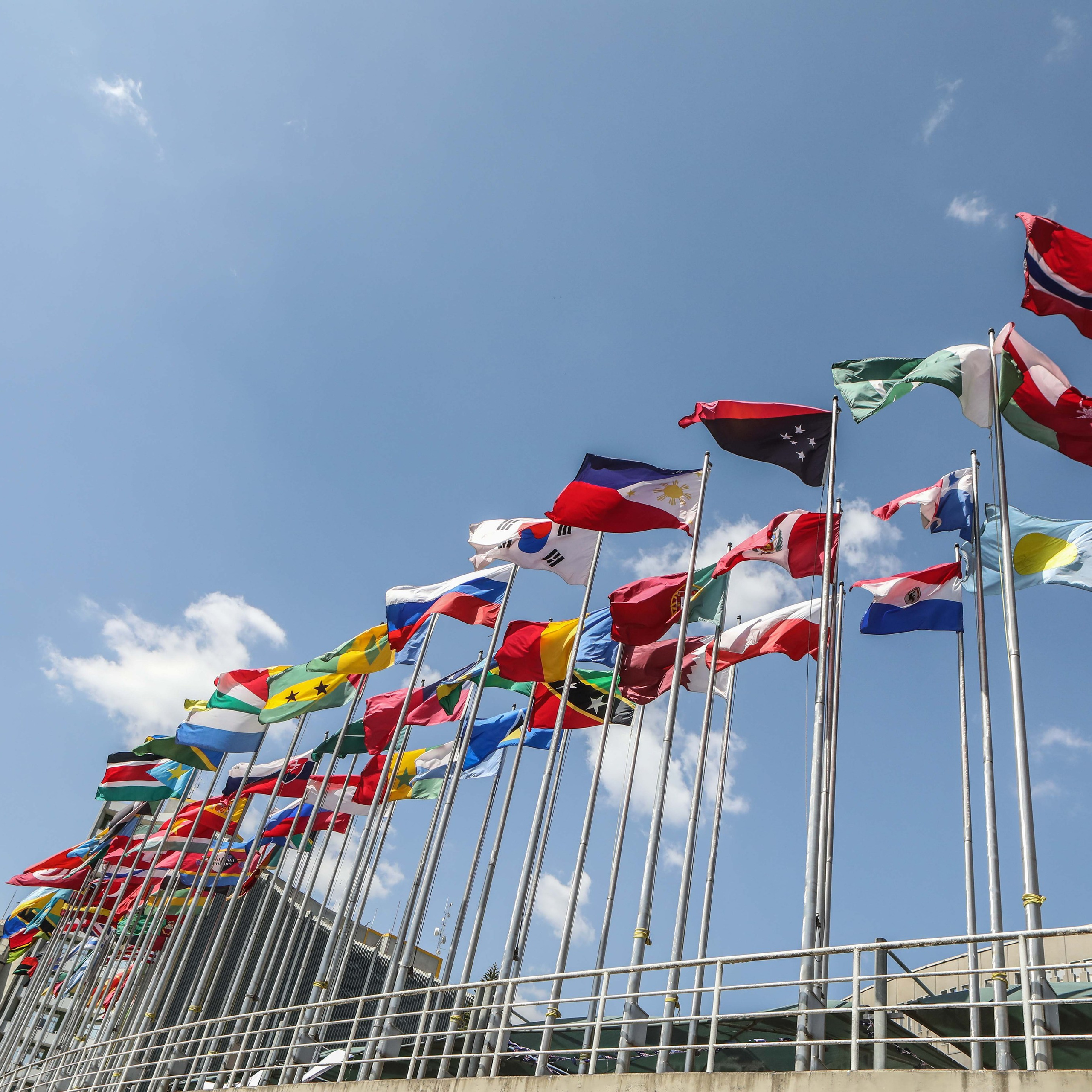 Charity Diplomatic Bazaar