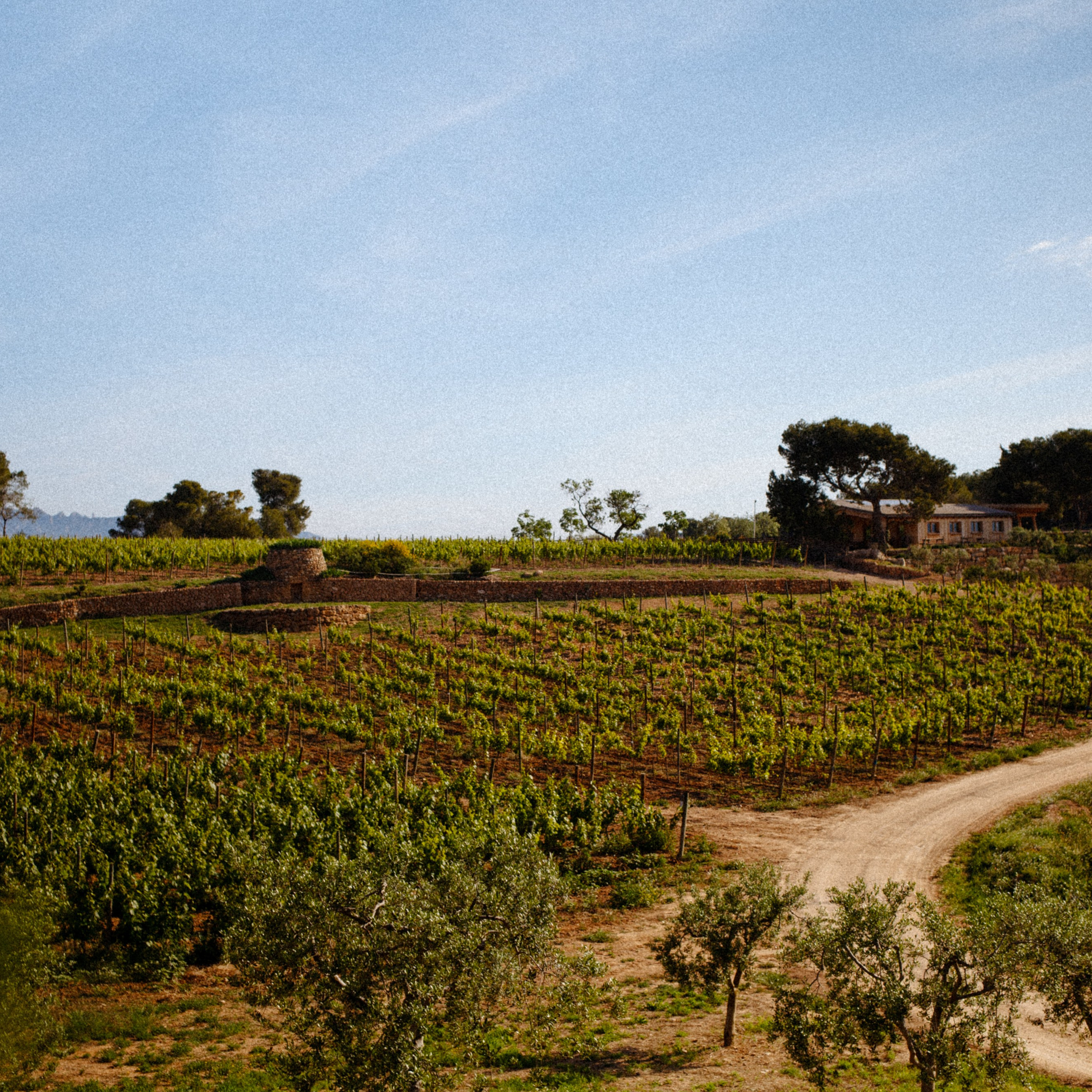 FOR SPACES, HOTELS, WINERIES