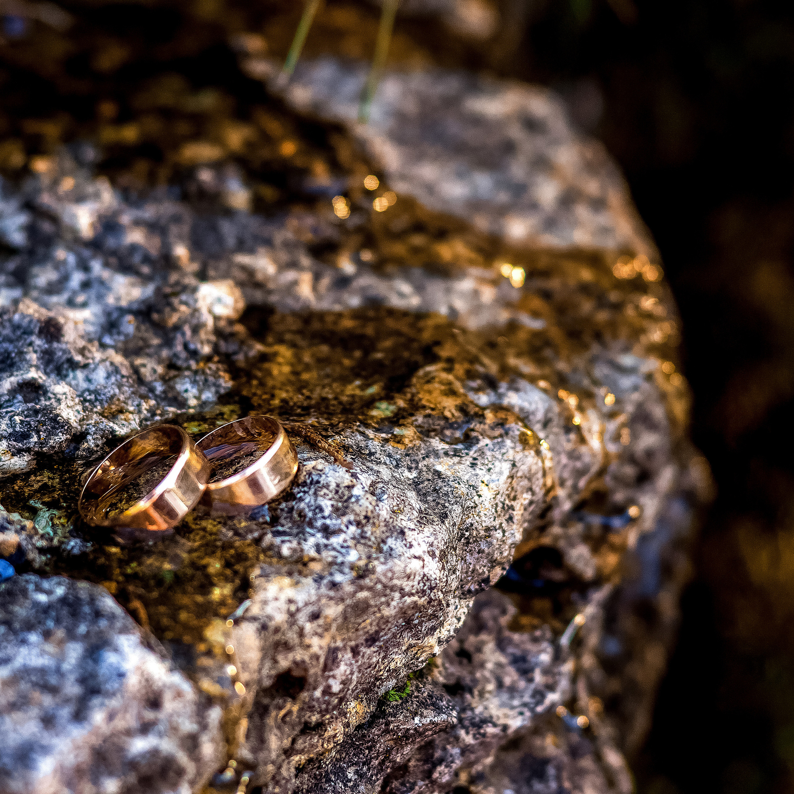 Rodzinny i weselny fotograf w Szczecinie, Dennis