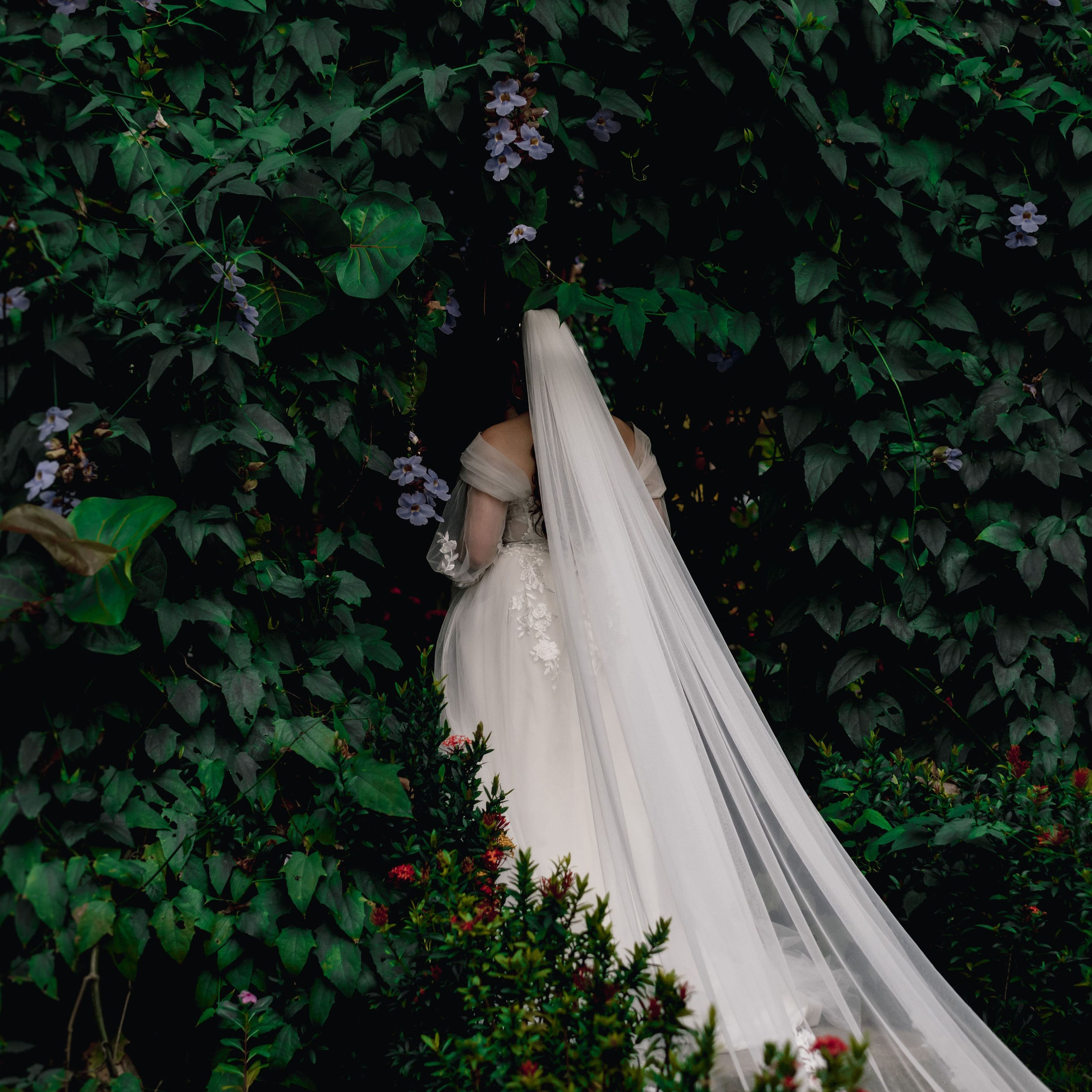 Gina & Raul | Playa Mareygua - Santa Marta, Colombia