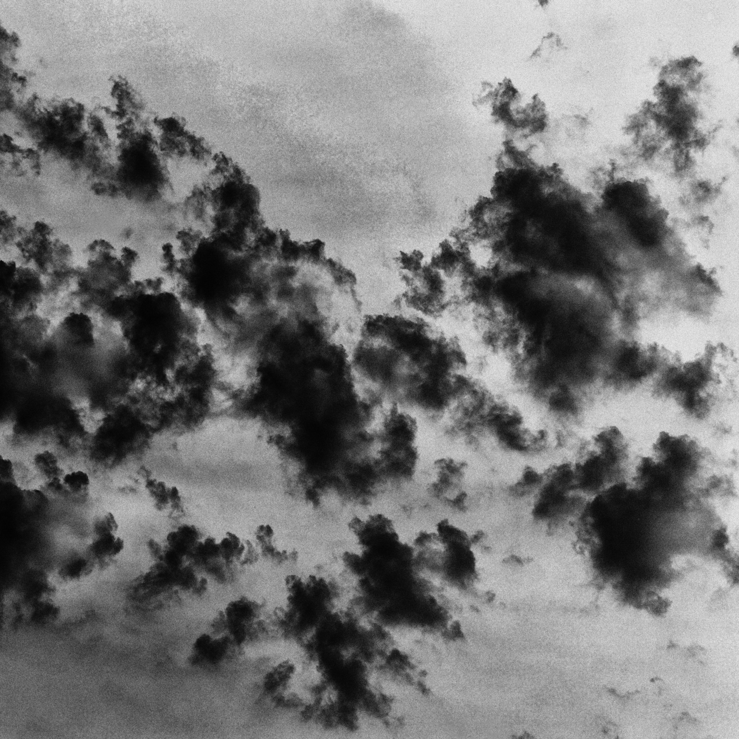 The Garden of Earthly Delights. Sveta Kaverina