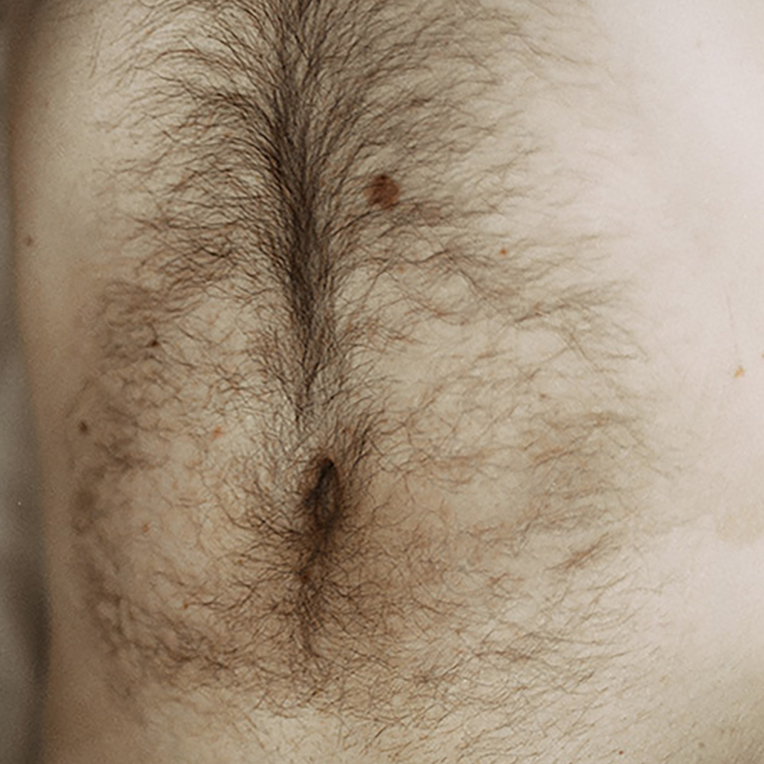 The Garden of Earthly Delights. Sveta Kaverina