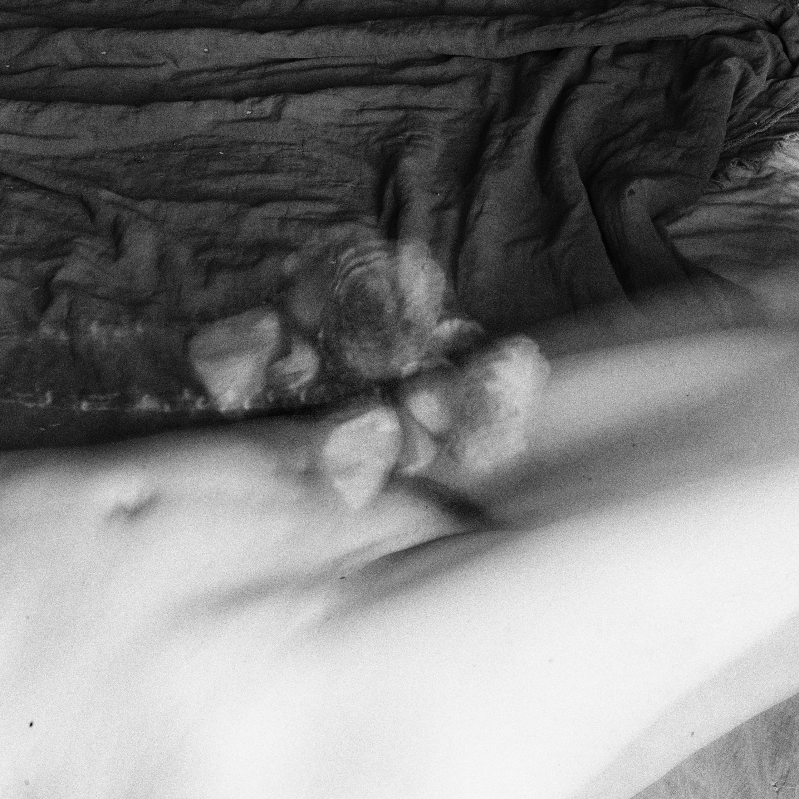 The Garden of Earthly Delights. Sveta Kaverina