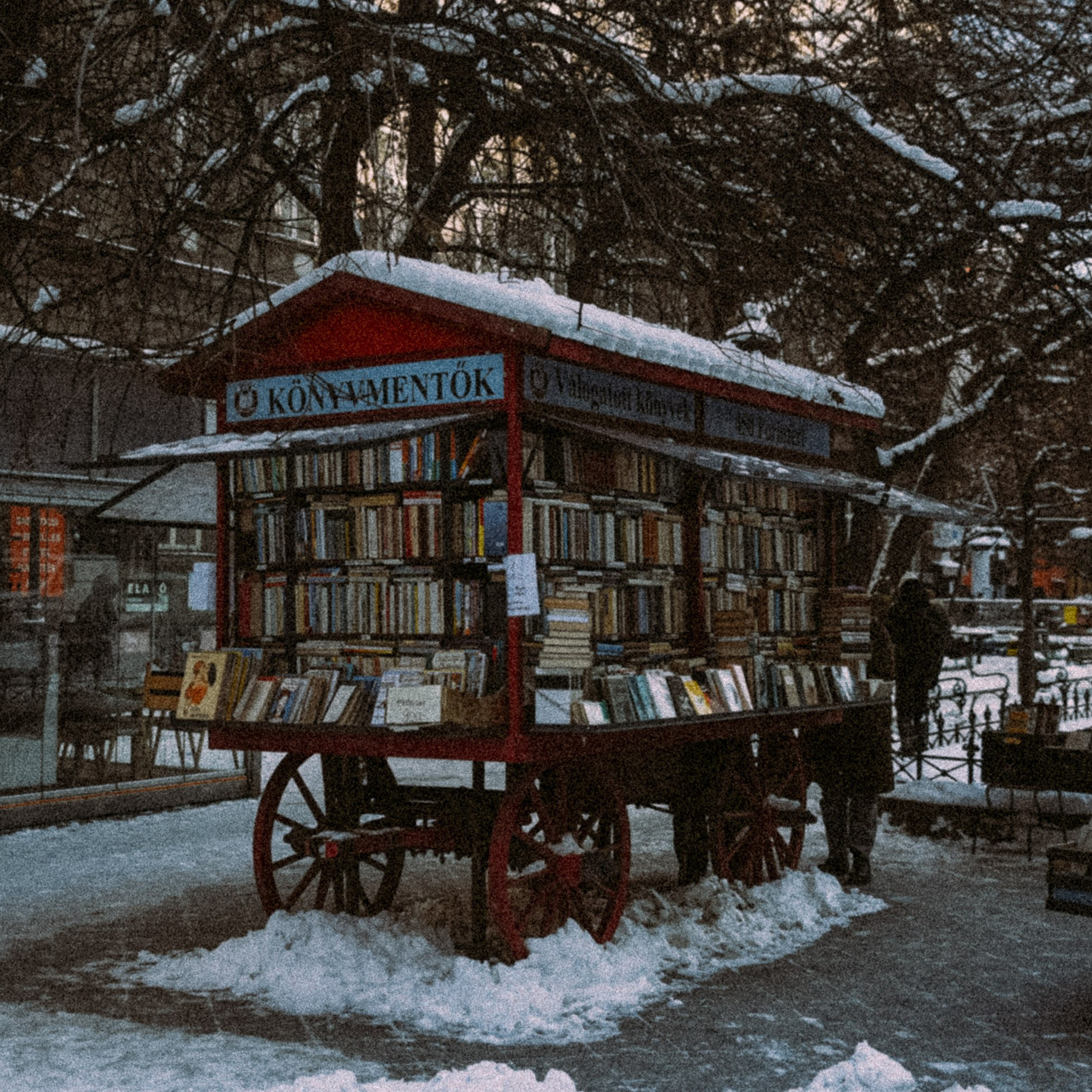 Будапешт. Anita_photo