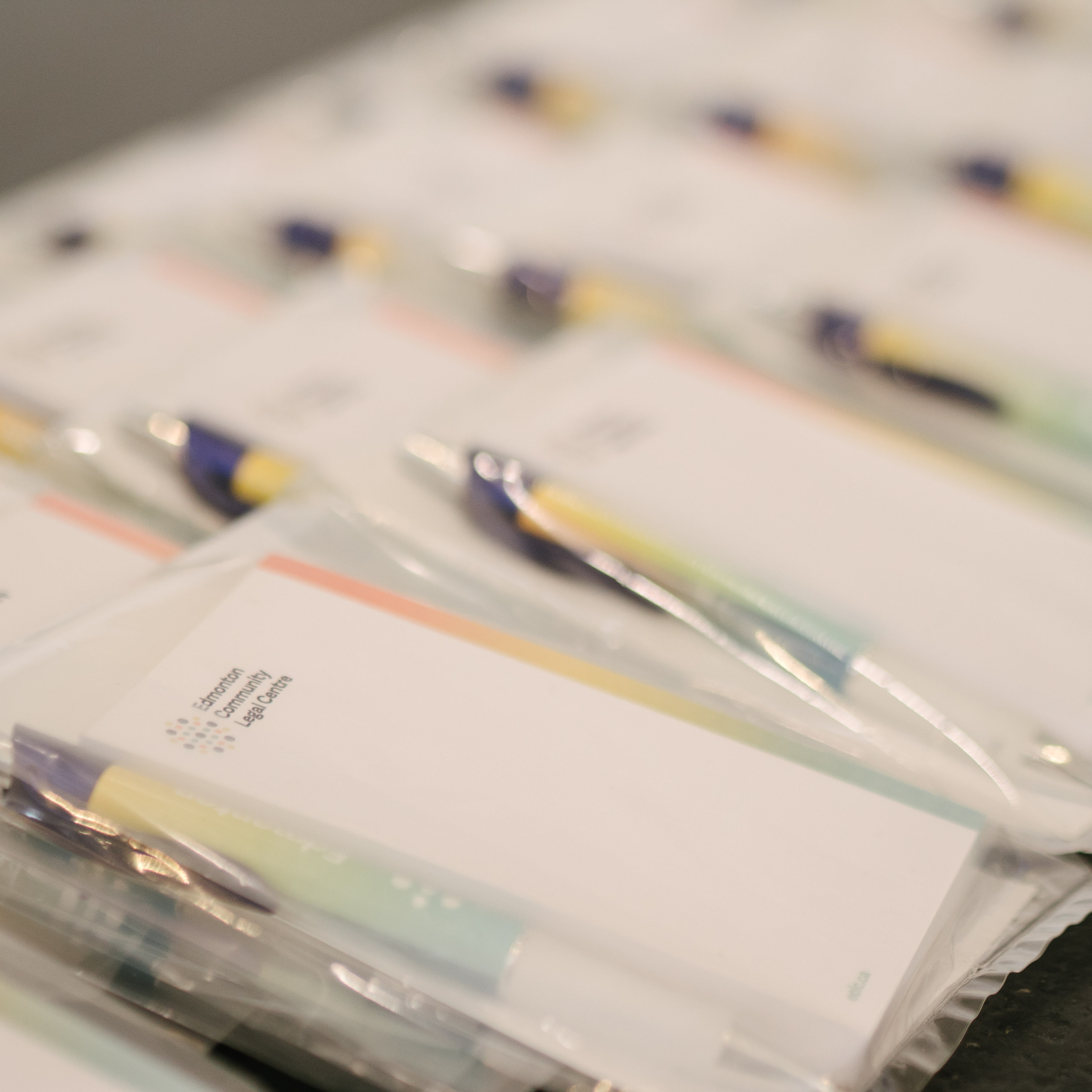 Stepping Forward with Edmonton Community Legal Centre March 16, 2023. Dimitri Ilkov Photography — Capturing Life’s Moments in Edmonton, Cana