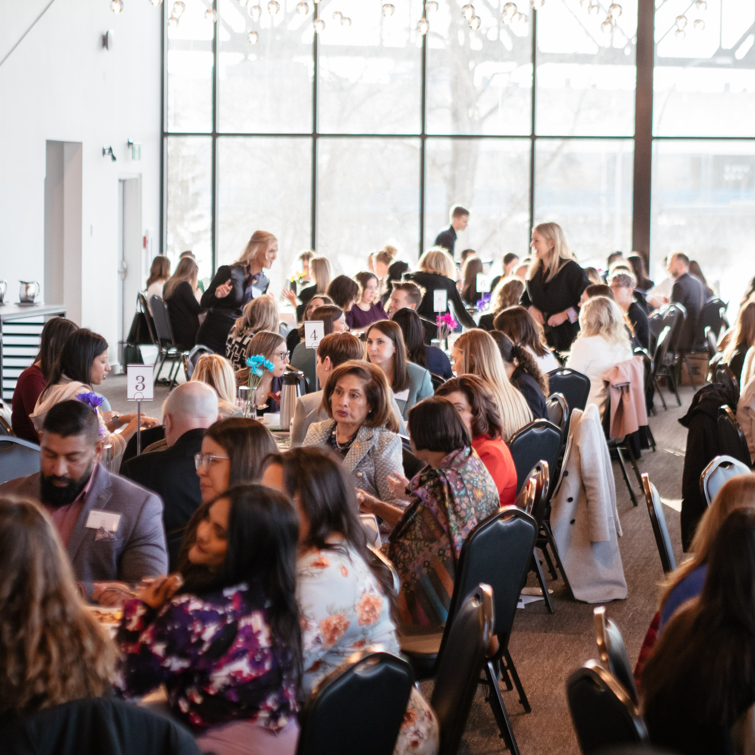 International Women’s Day March 8, 2023 — Royal Glenora Club. Dimitri Ilkov Photography — Capturing Life’s Moments in Edmonton, Cana